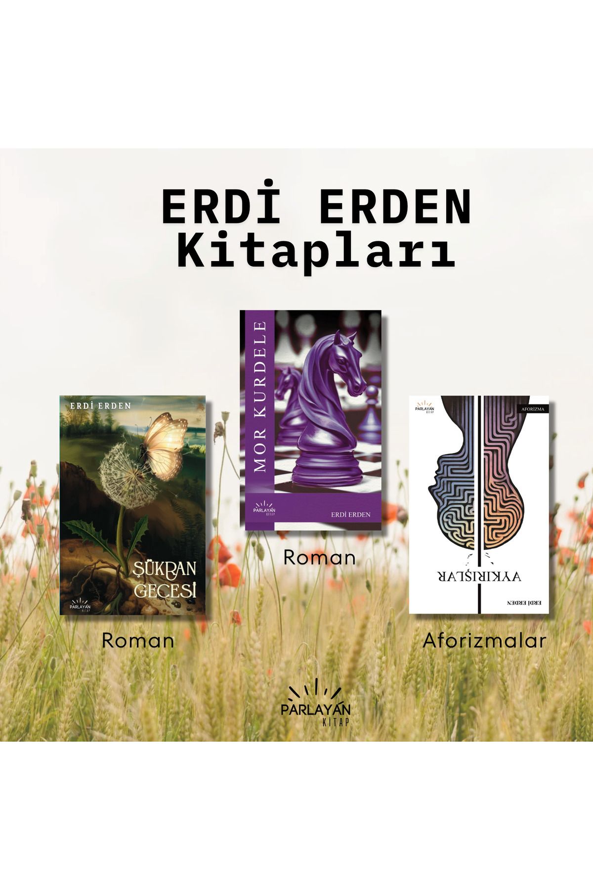 Parla Yayınları ERDİ ERDEN KİTAPLARI