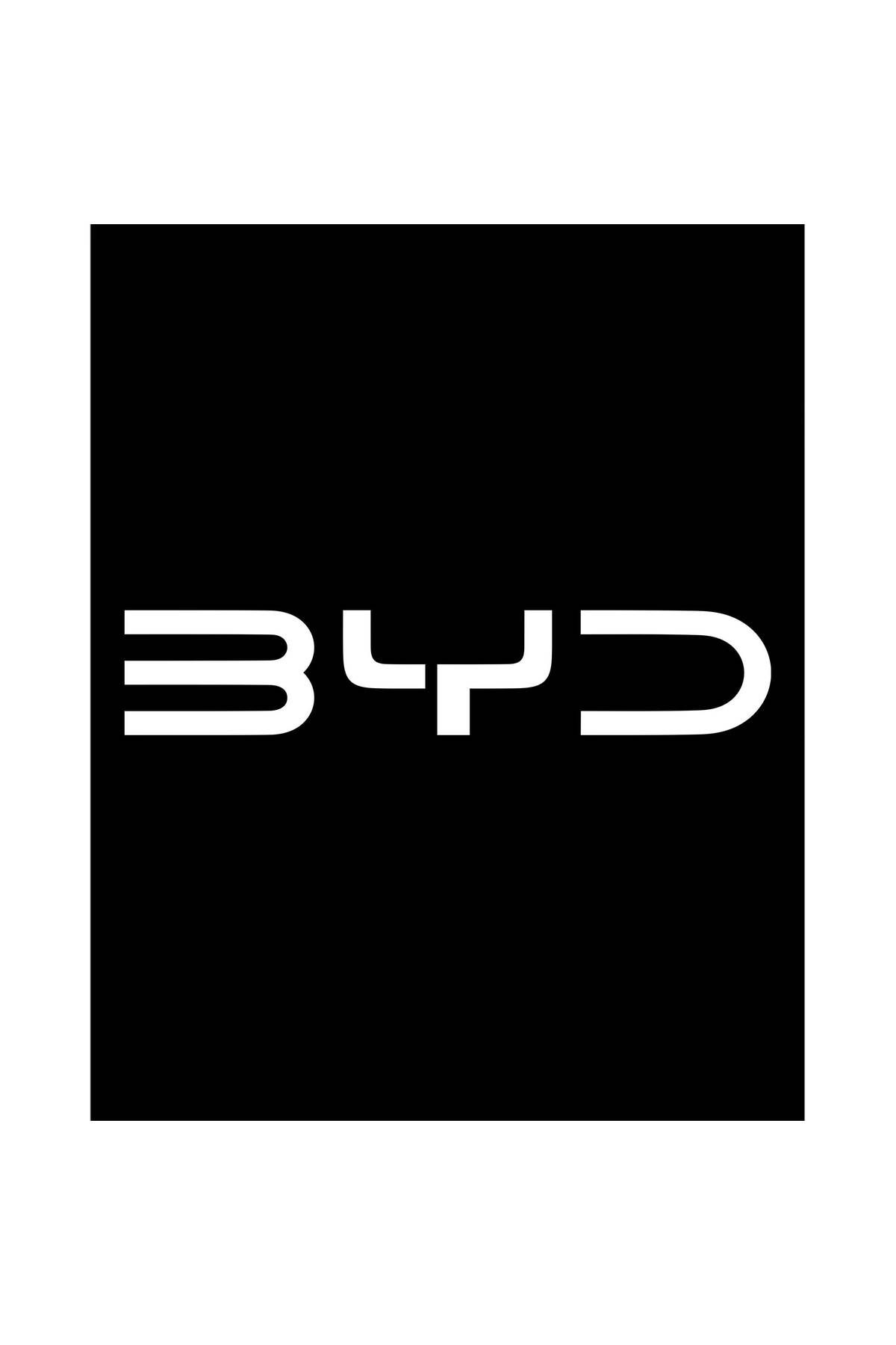 Z zepplin BYD Logo White Büyük Sırt Patch Yama