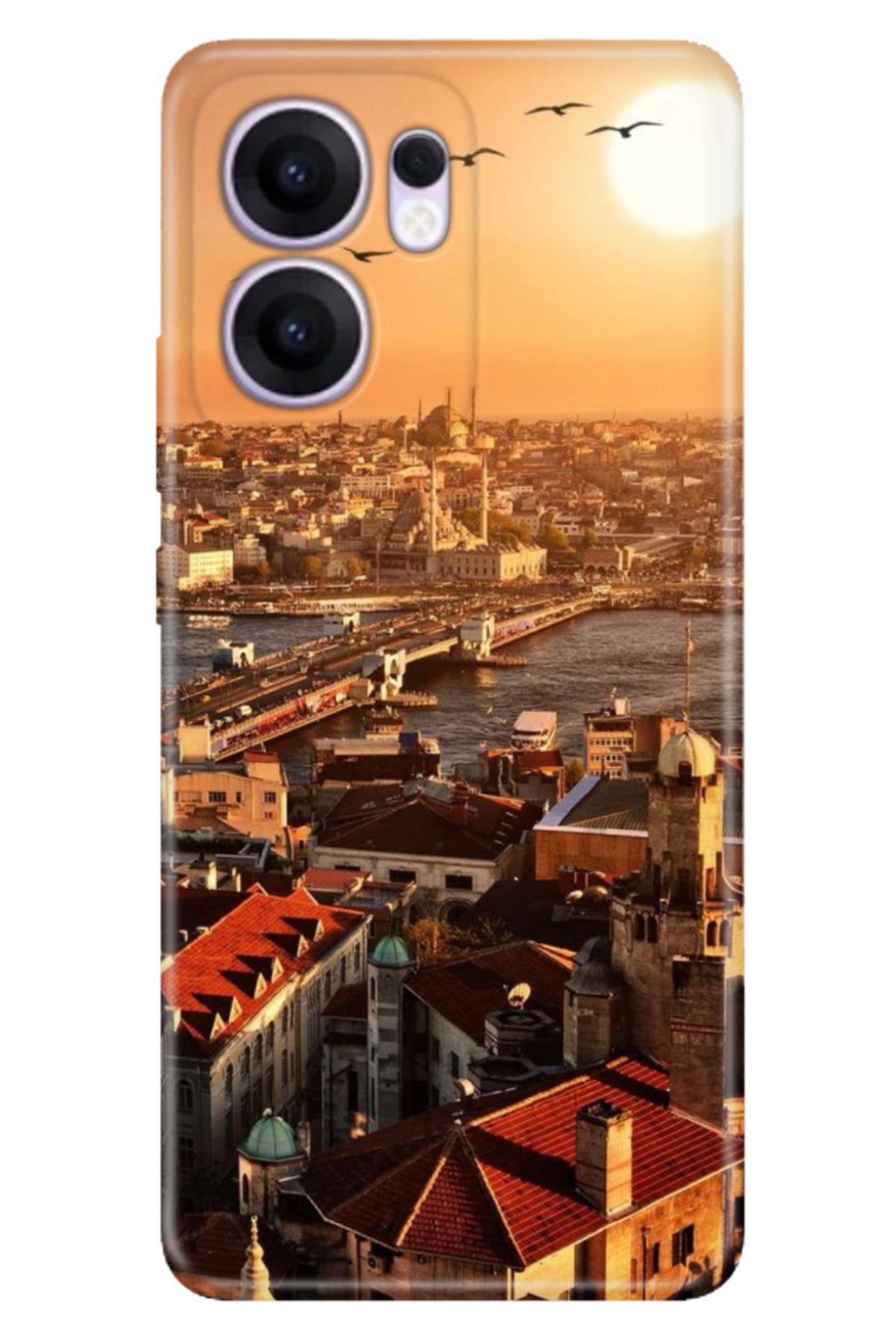 OPPO Reno 13F 5G Kılıf Renkli Silikon Baskılı TPU Galata