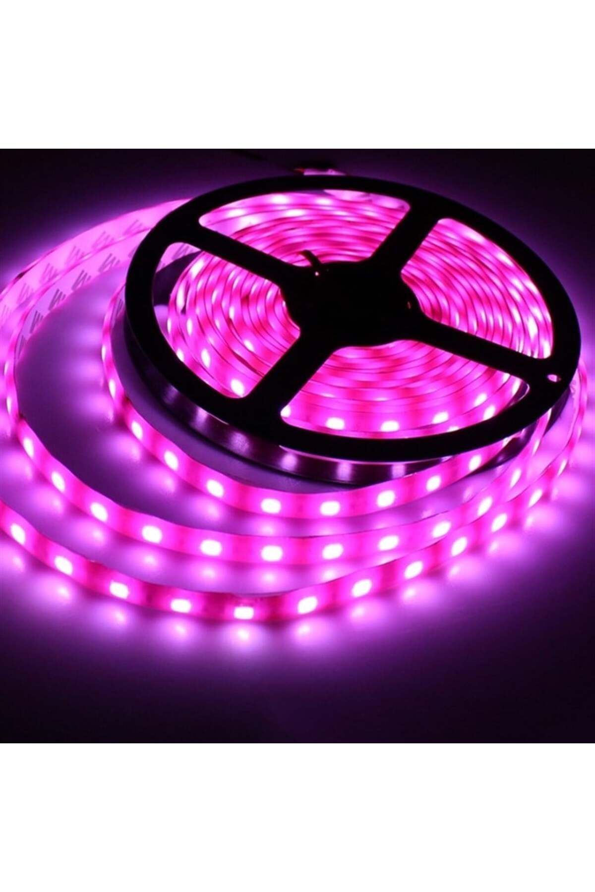 Noas İÇ MEKAN LED 4040 PEMBE 5MT