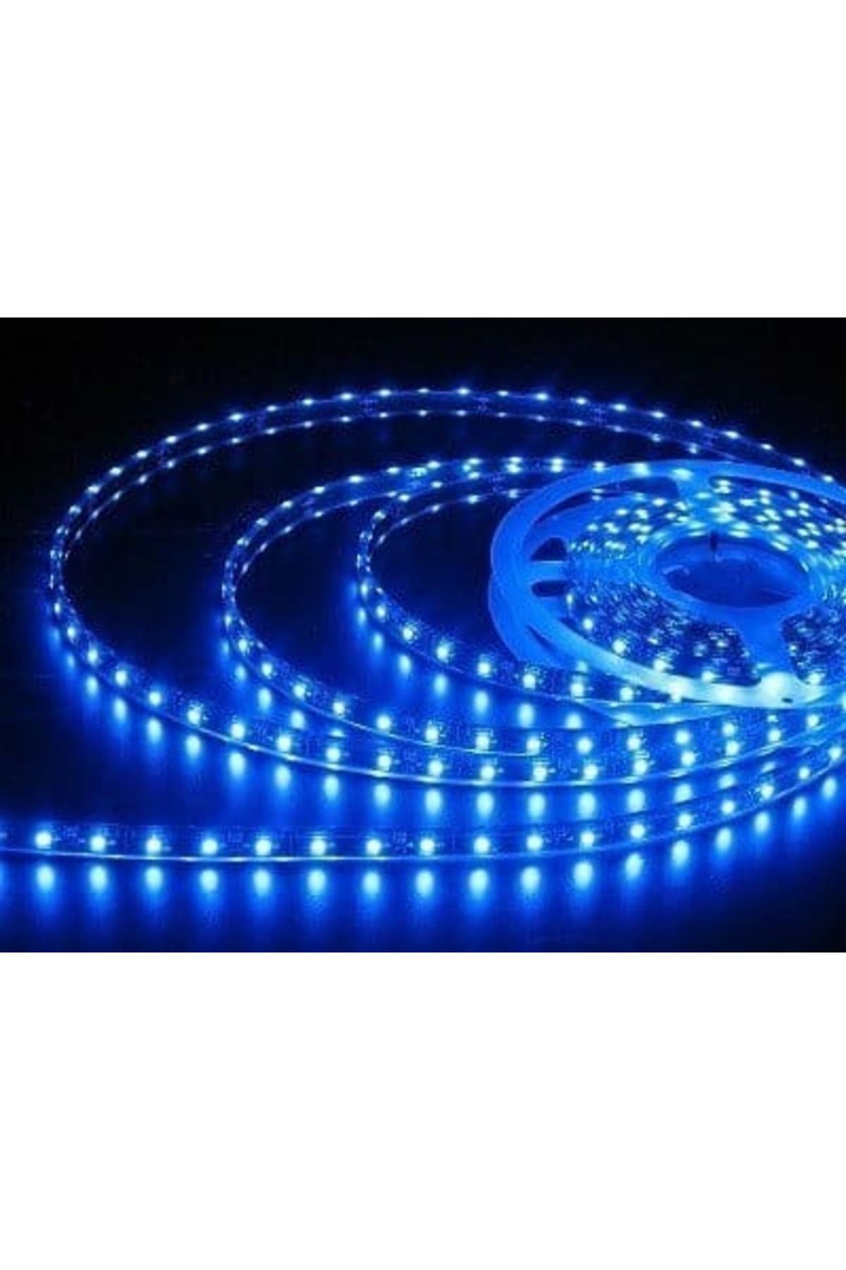 Noas İÇ MEKAN LED 4040 MAVİ 5MT