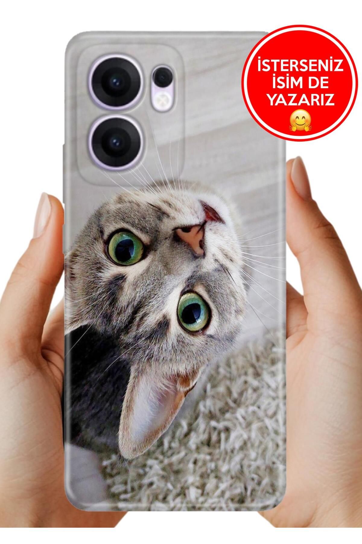 OPPO Reno 13F 5g Kılıf Oppo Reno 13F A Kalite Baskılı Art Silikon Evdedi Kedi