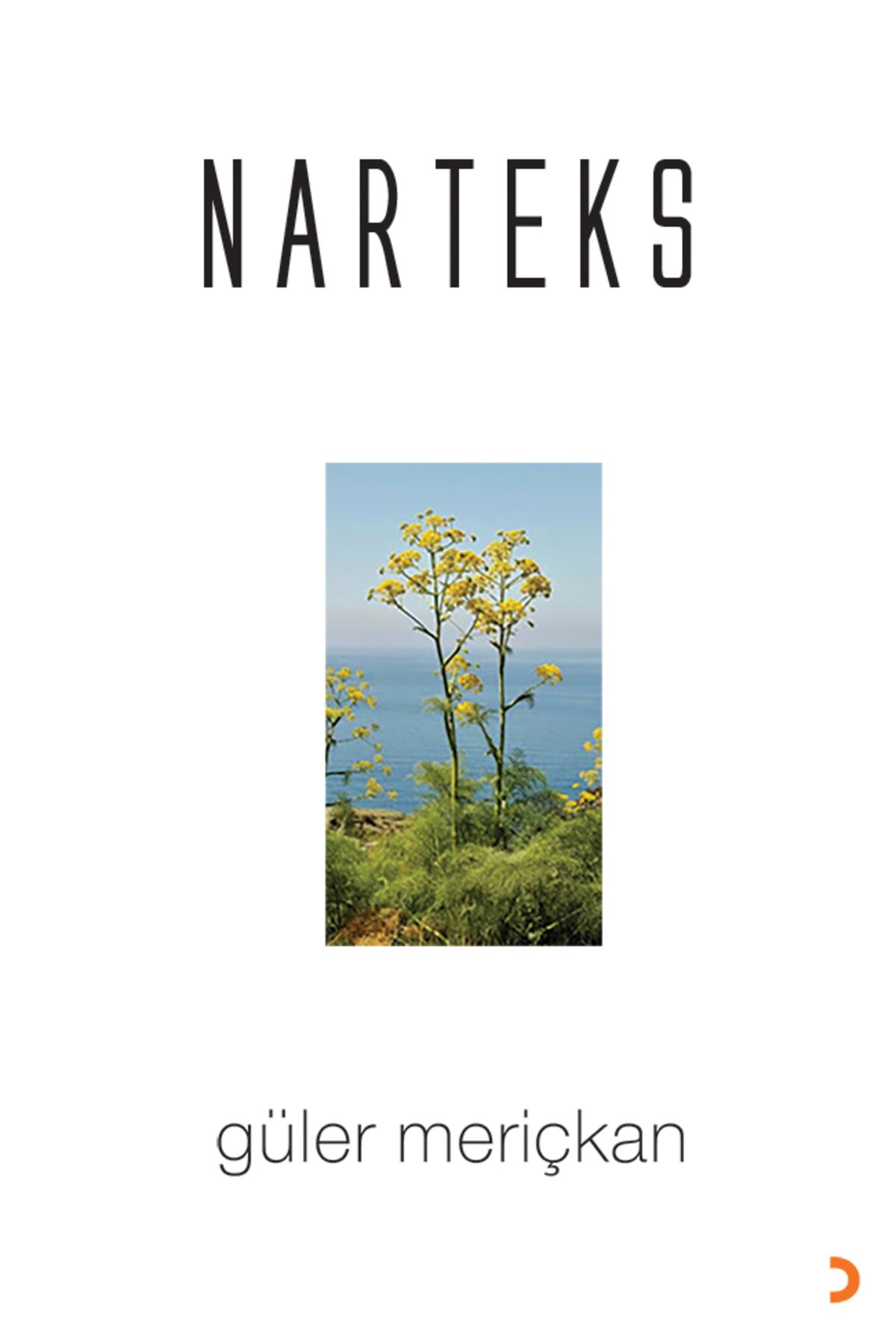 Cinius Yayınları Narteks & Güler Meriçkan