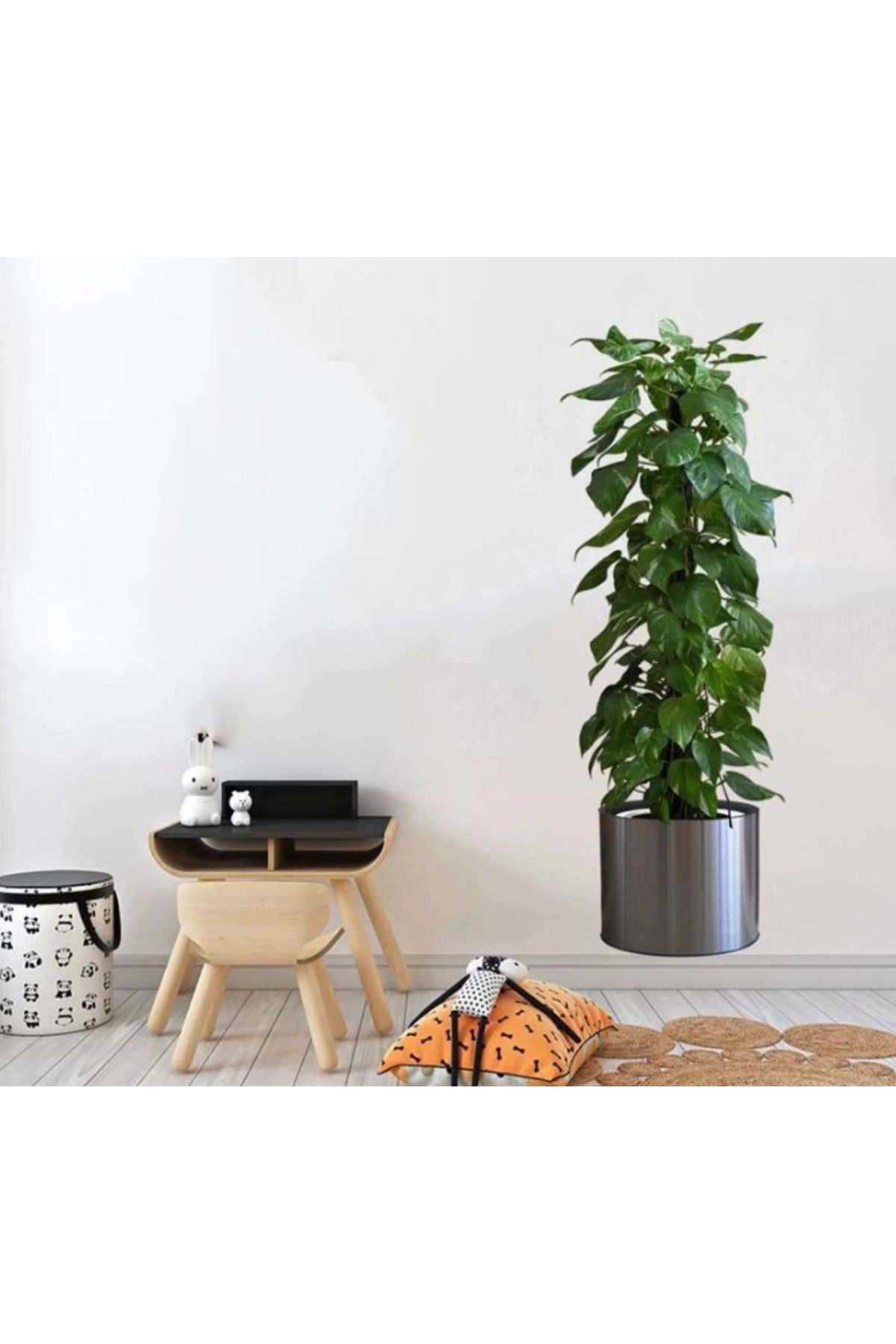ÖYKÜ VE YİĞİT Pratik Saksılı Bitki Tasarımlı Yapışkanlı Sticker Resim 90*30 Cm Mc-665