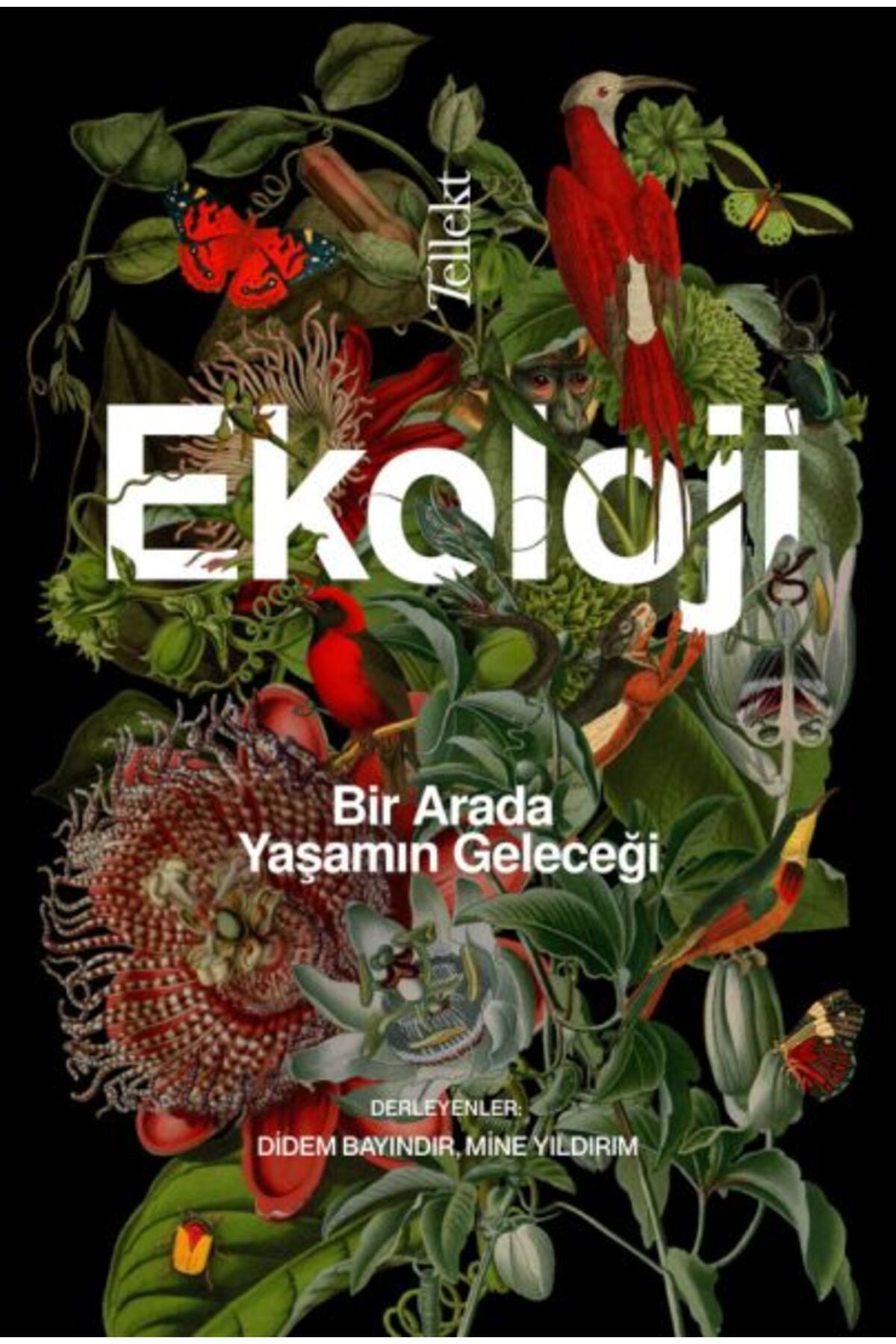 Tellekt Ekoloji: Bir Arada Yaşamın Geleceği