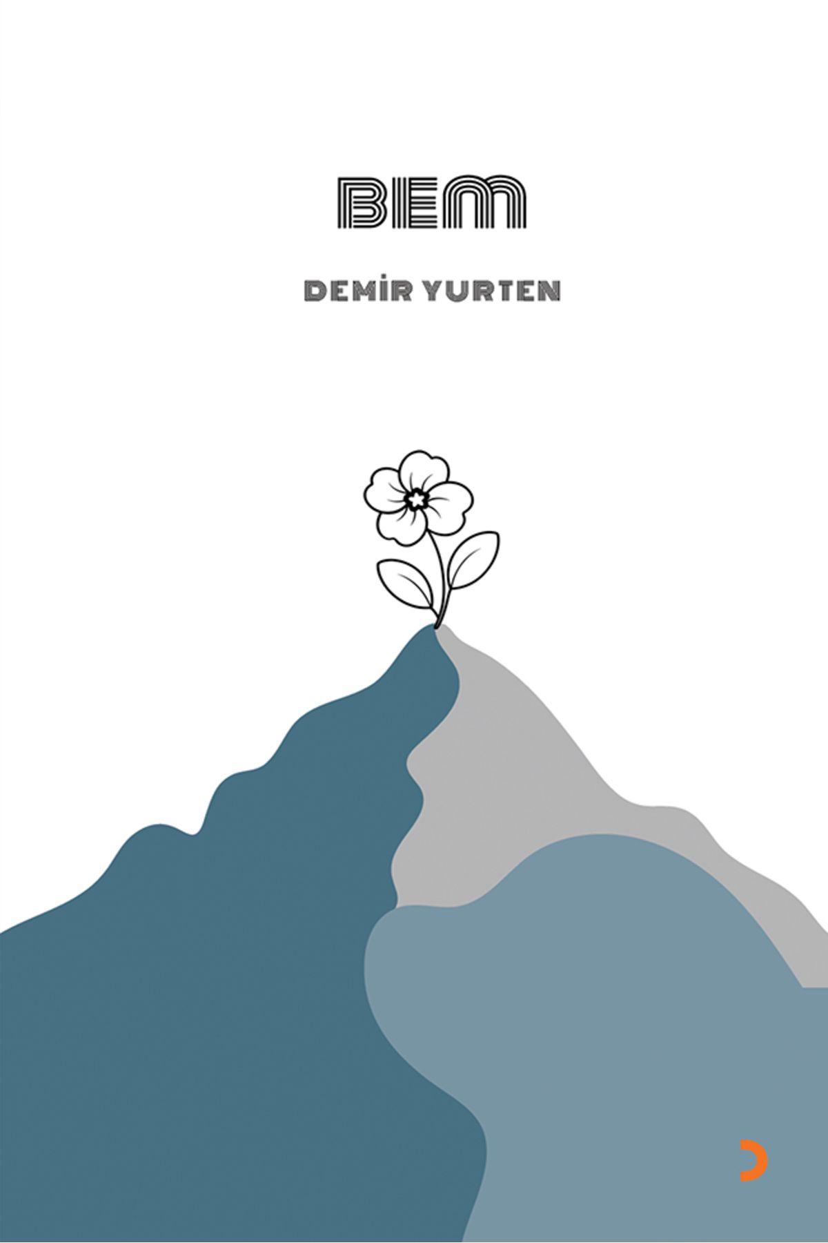 Cinius Yayınları BEM & Demir Yurten