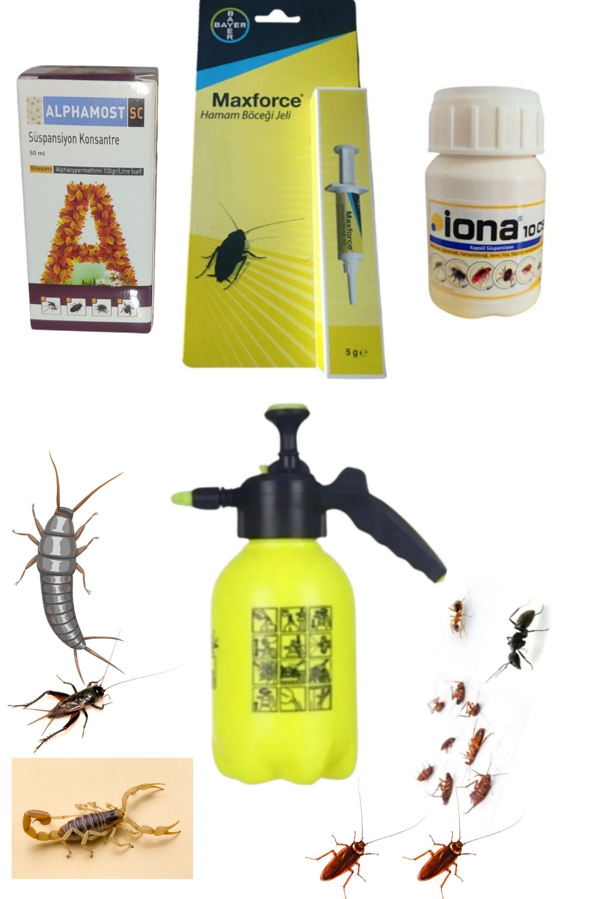 Bayer Kalorifer Böceği Gümüş Böceği Karafatma İlaçlama Seti/Alp.50ML/Bayer jel 5GR/İona 50ML/2Lt Pompa