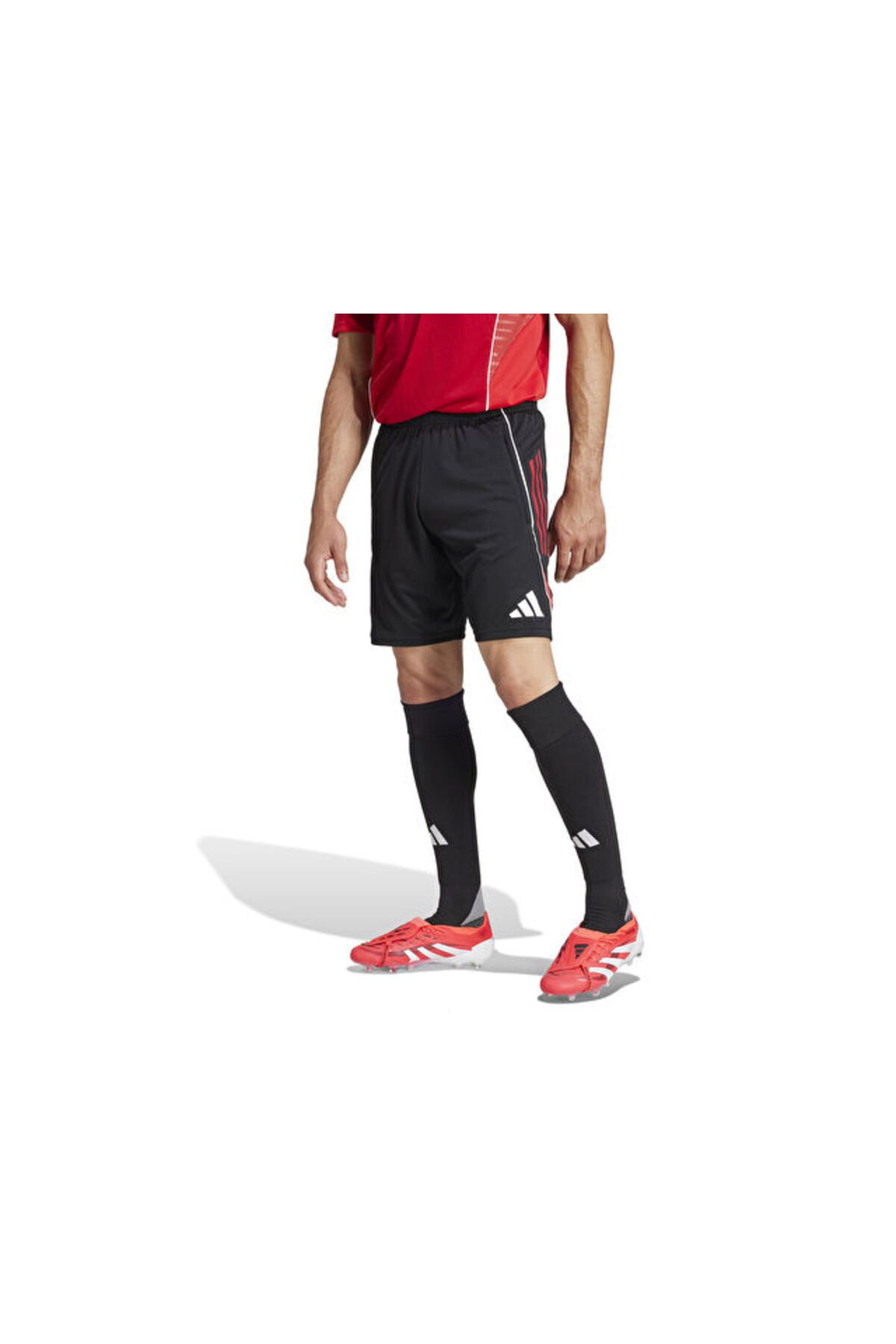 adidas Tiro25C Tr Sho Erkek Futbol Antrenman Şortu JI6491 Renkli