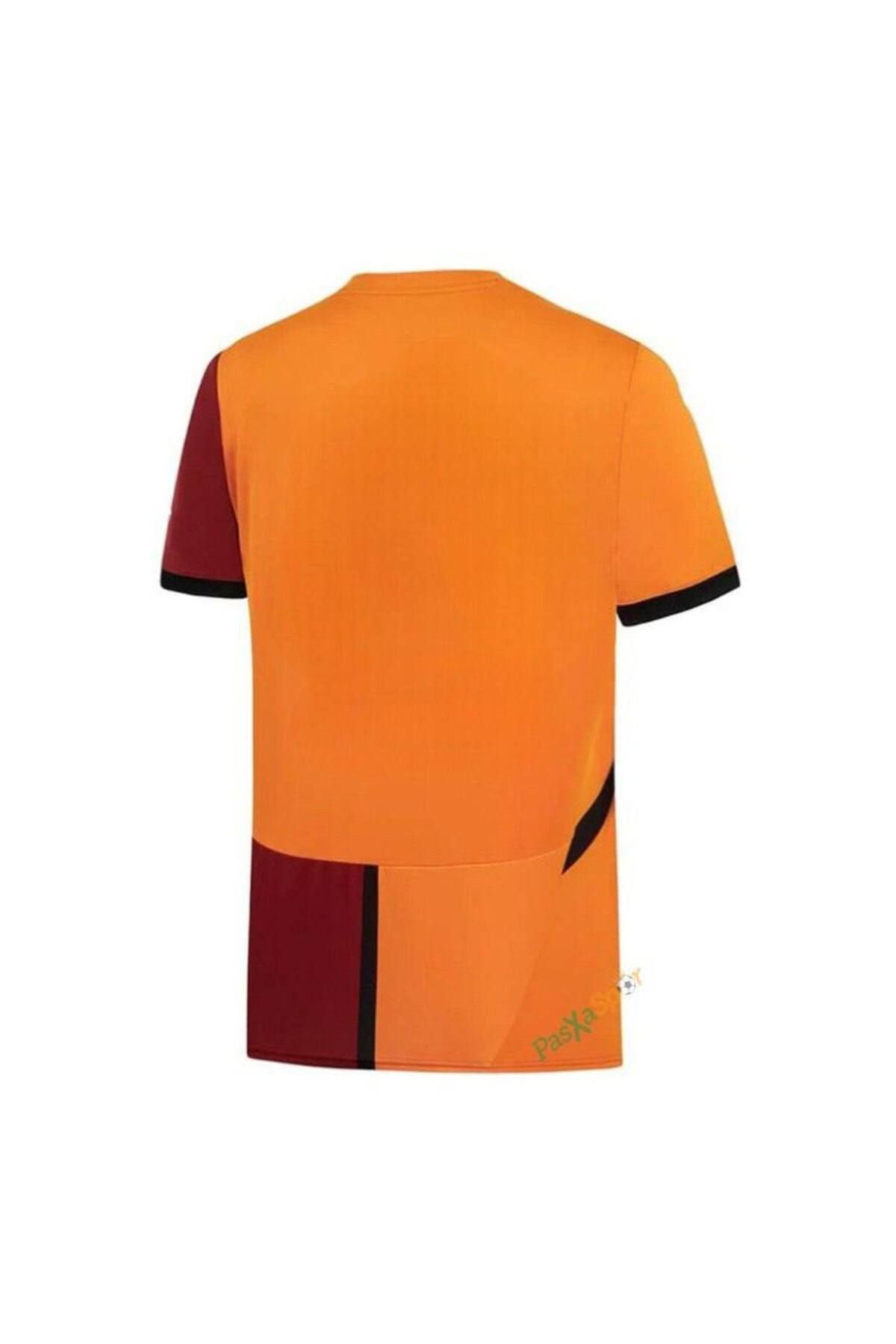 Alaturka Mix GALATASARAY 2024/25 İÇ SAHA YETİŞKİN FORMASI