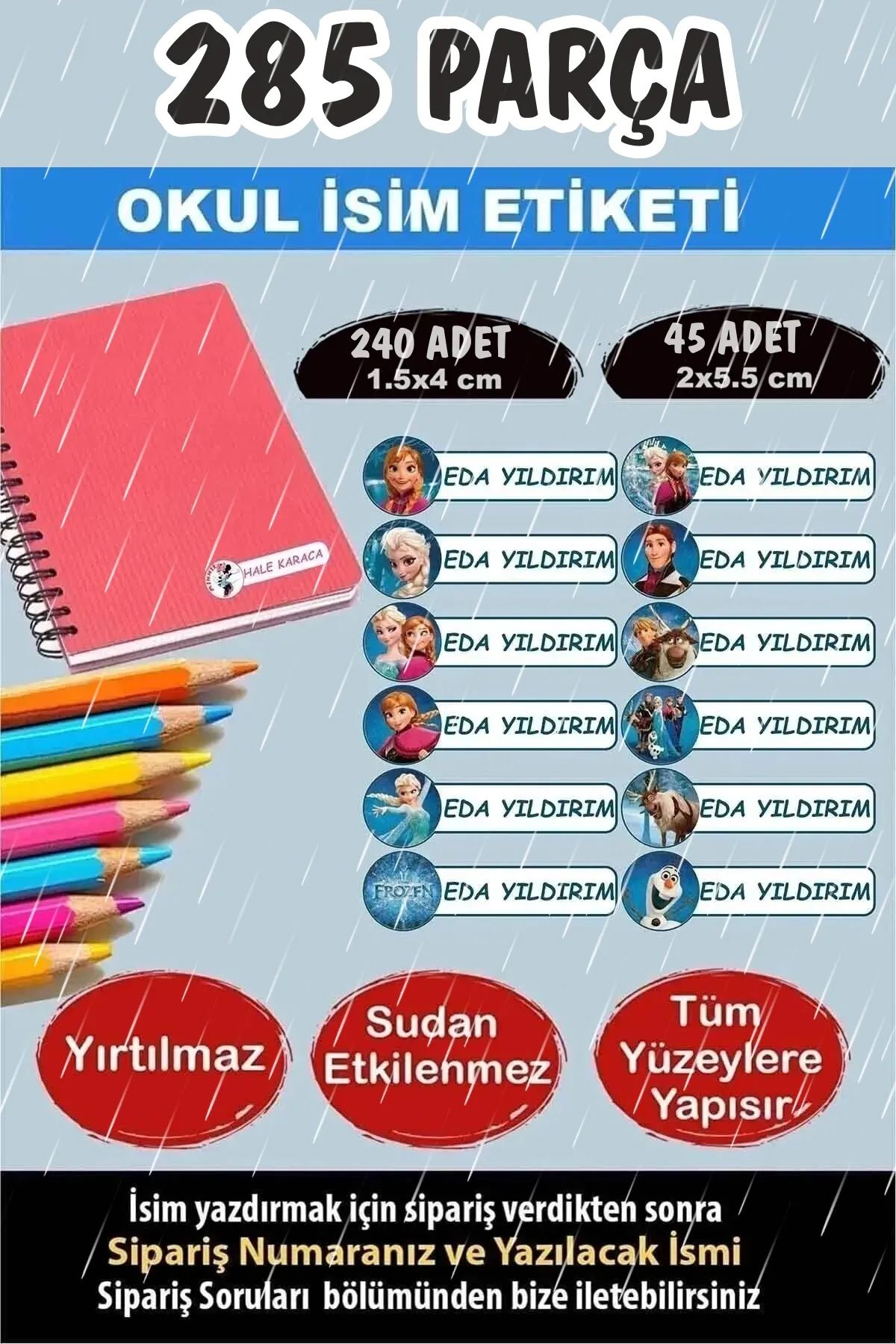 KT Decor Okul Kalem Defter Etiketi Frozen Karlar Ülkesi İsimli Etiket 12 Figür - 285 Adet