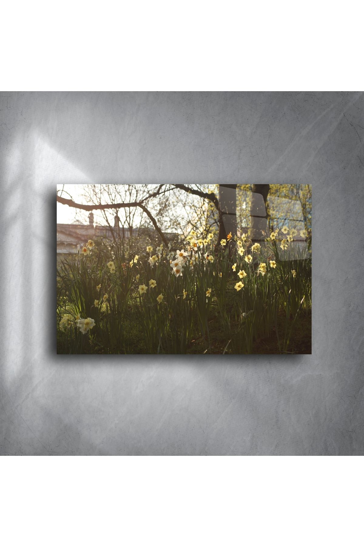 LEYLASER Fine Art Çiçek Fotoğrafı Tablosu