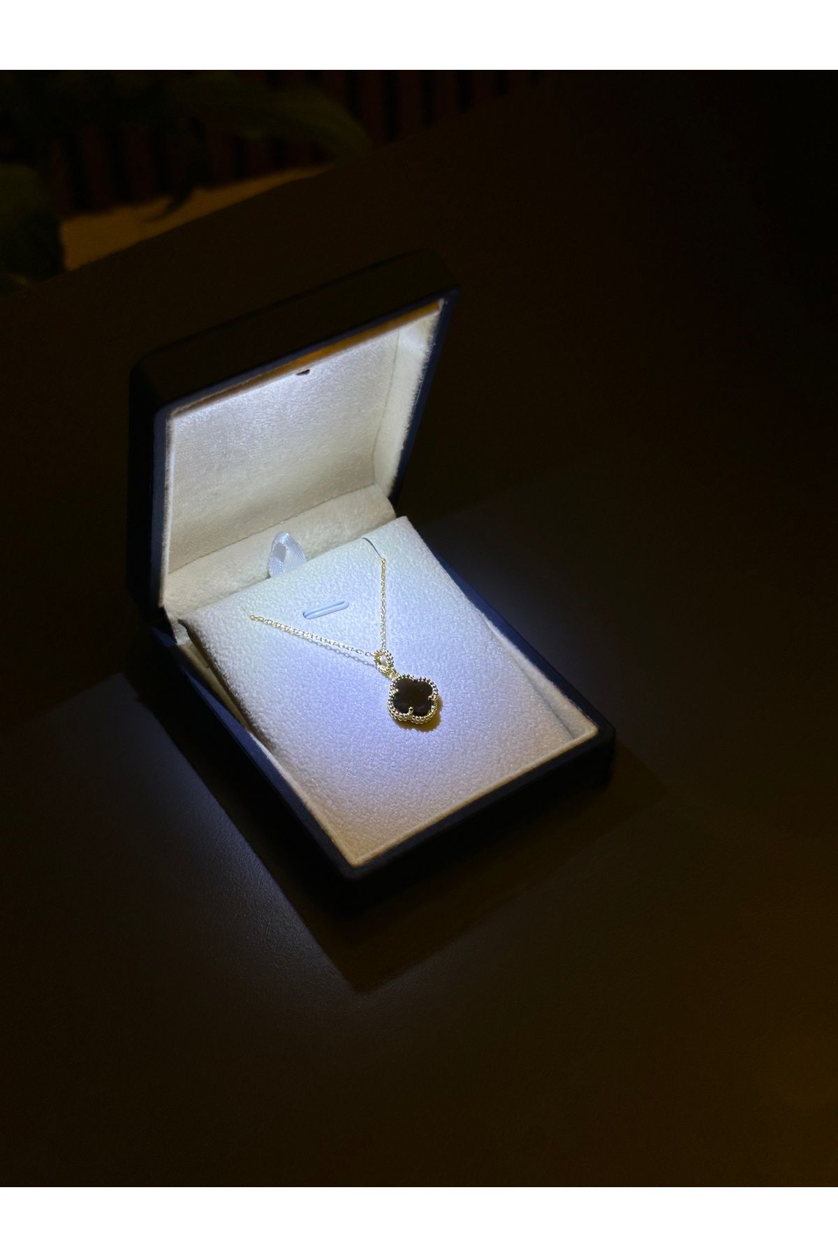 ADA LİFE GÜMÜŞ (PREMİUM IŞIKLI KUTU) 925 Ayar Gümüş 18 ayar Gold Kaplama Siyah Taşlı Yonca Kolye