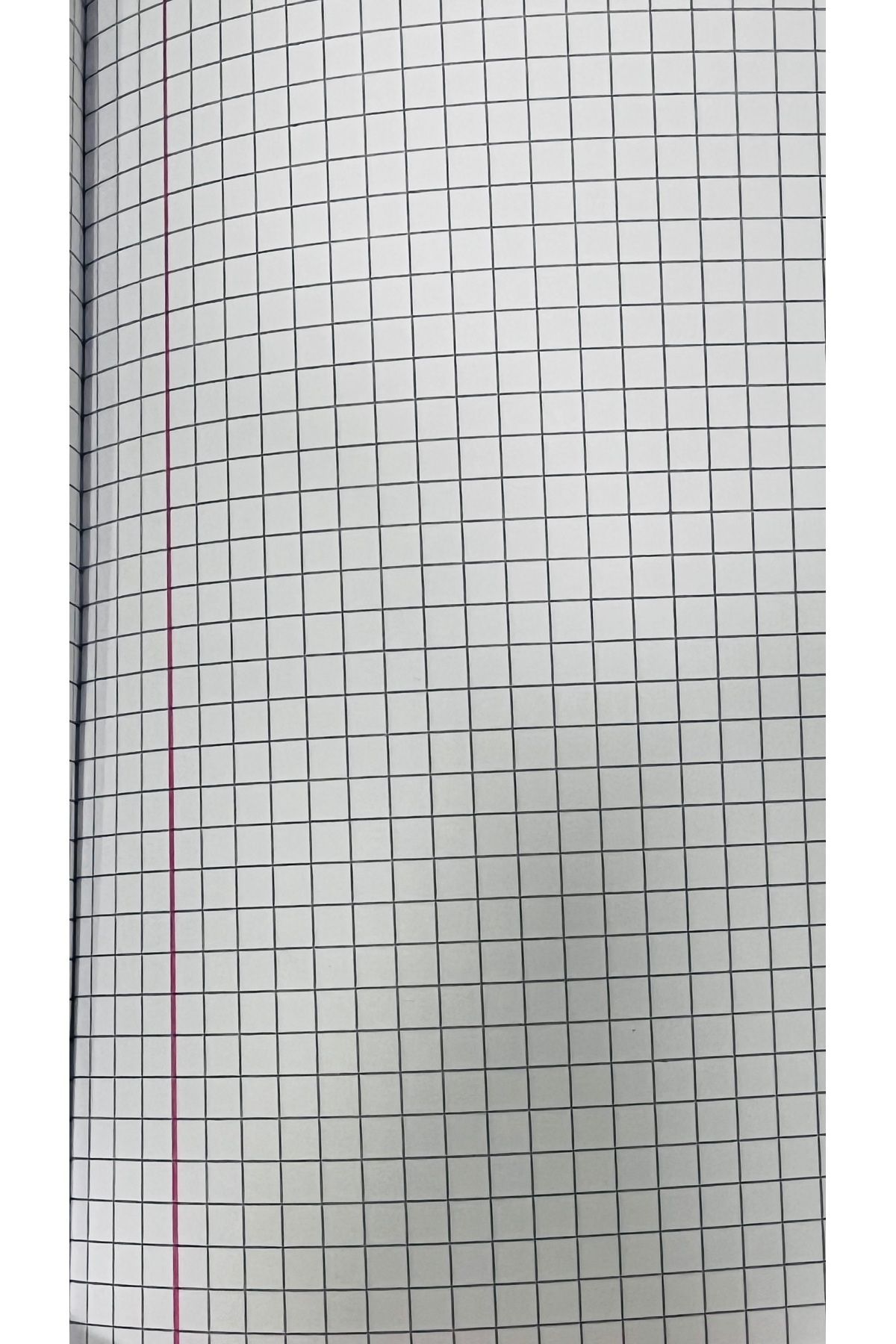 Mynote-Minnie Series 3 Notebook Set 60 Yp Checkered Pp Cover Gorgeous 2