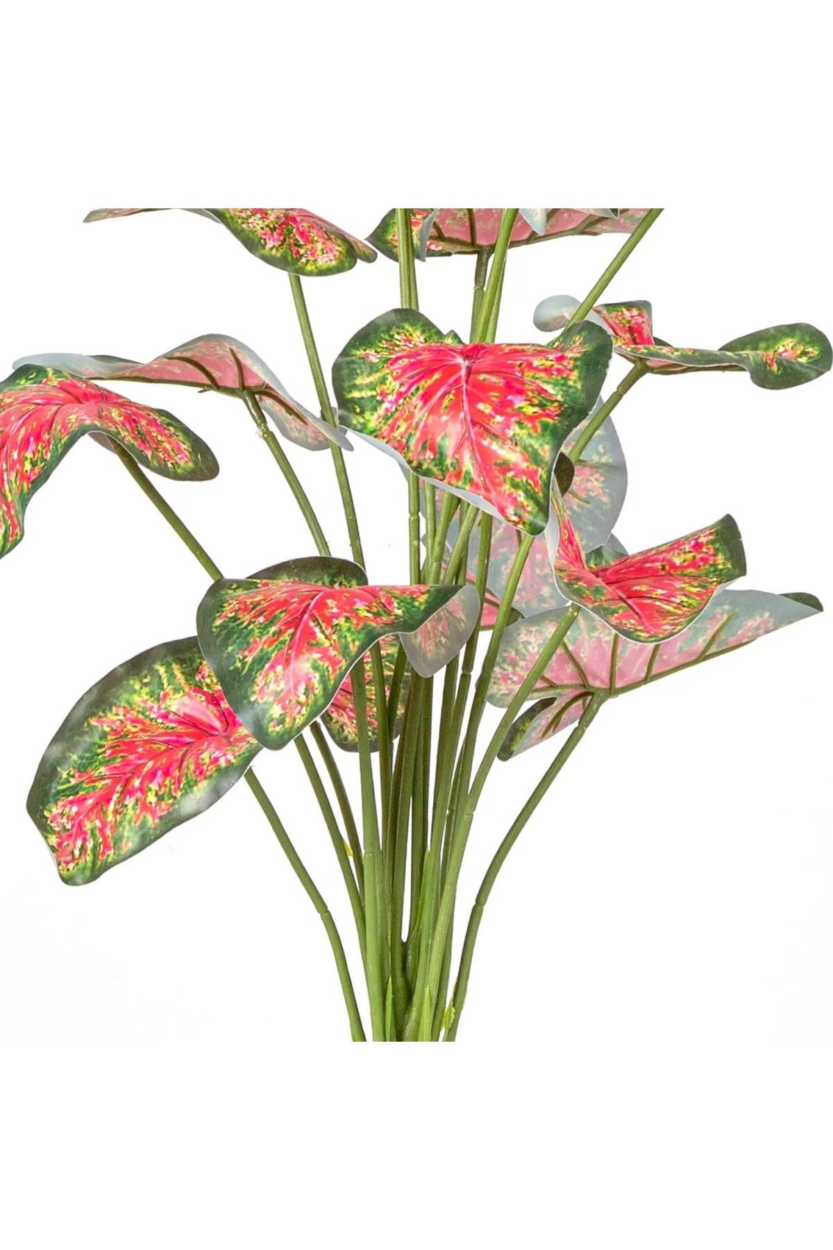 MK Yapay Bitki Caladium-kaladyum Demet Gerçek Dokulu 18 Yaprak 46 Cm.
