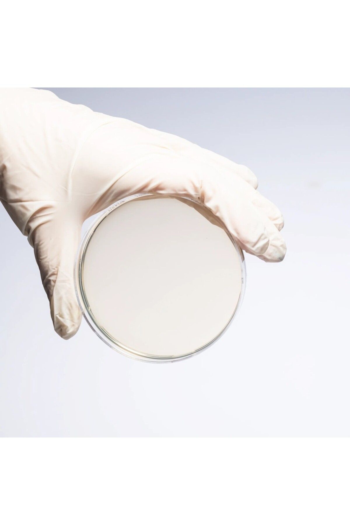 Aklab Group PLATE COUNT AGAR