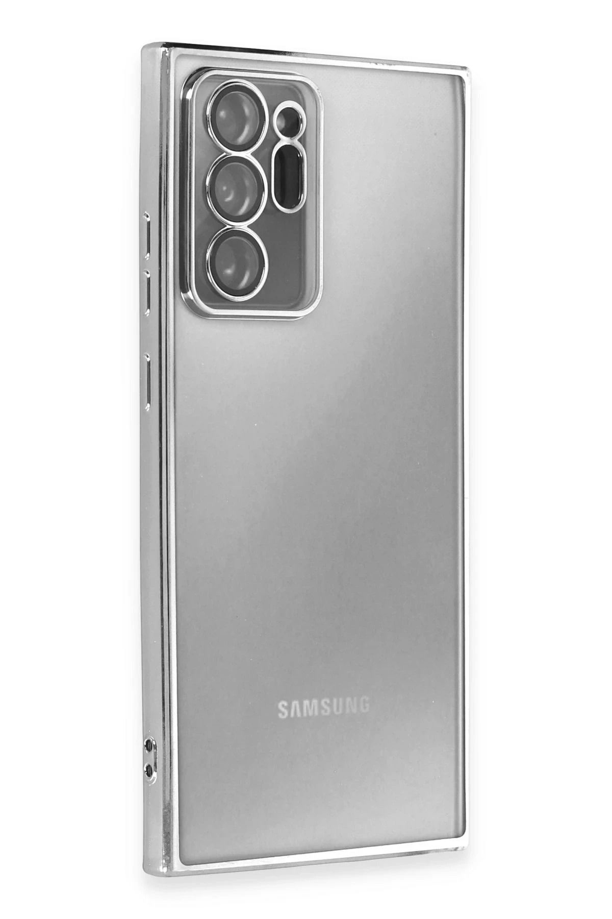 NewFace Samsung Galaxy Note 20 Ultra Kılıf Lensli Silikon - Gümüş YNSMR