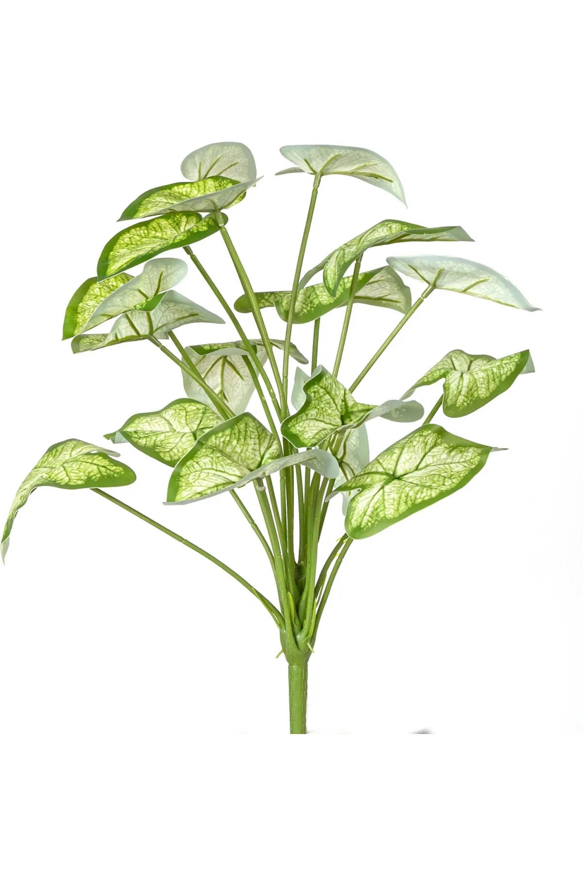 MK Yapay Bitki Syngonium-Melek Kanadı Gerçek Dokulu 18 Yaprak Yeşil-Beyaz 46 Cm.