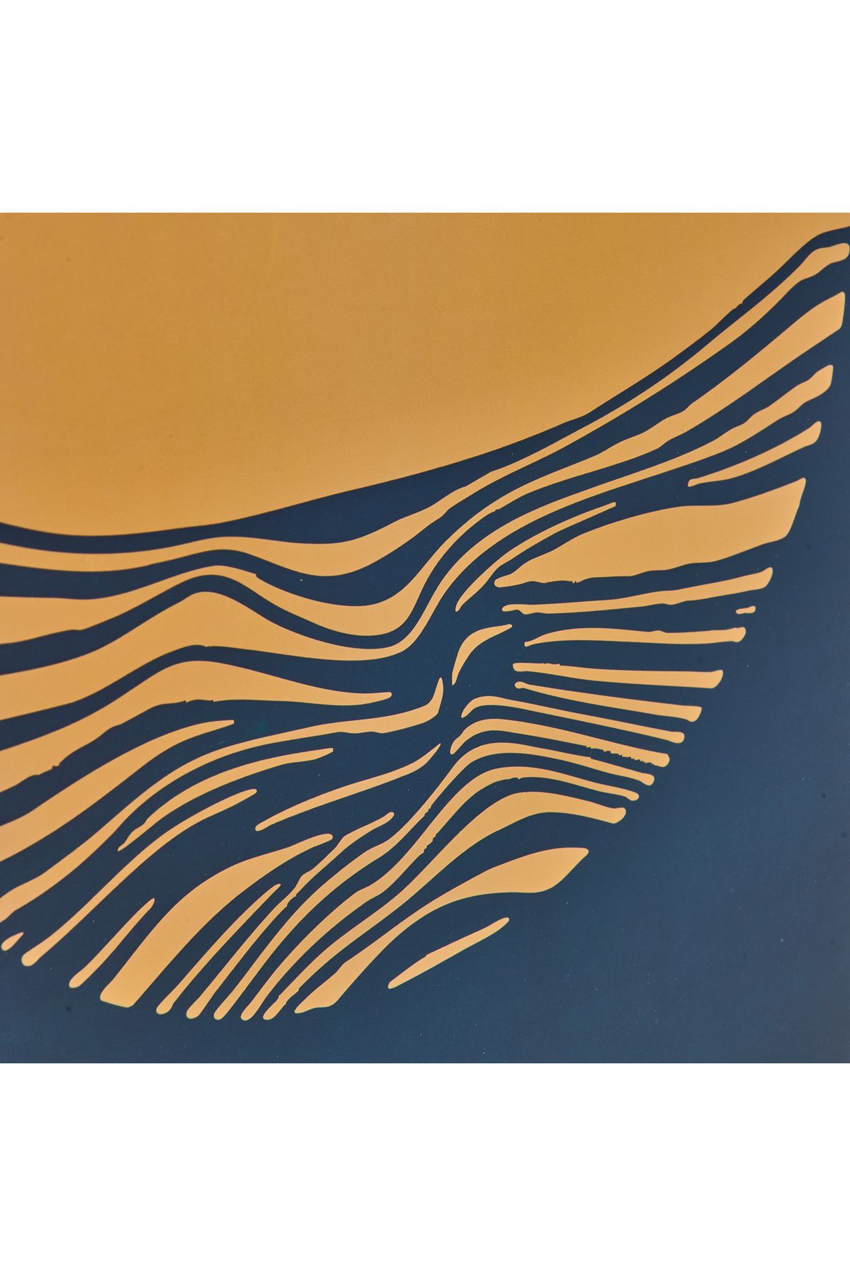 Evidea Deco Sun Madness Tablo - 50x70 cm
