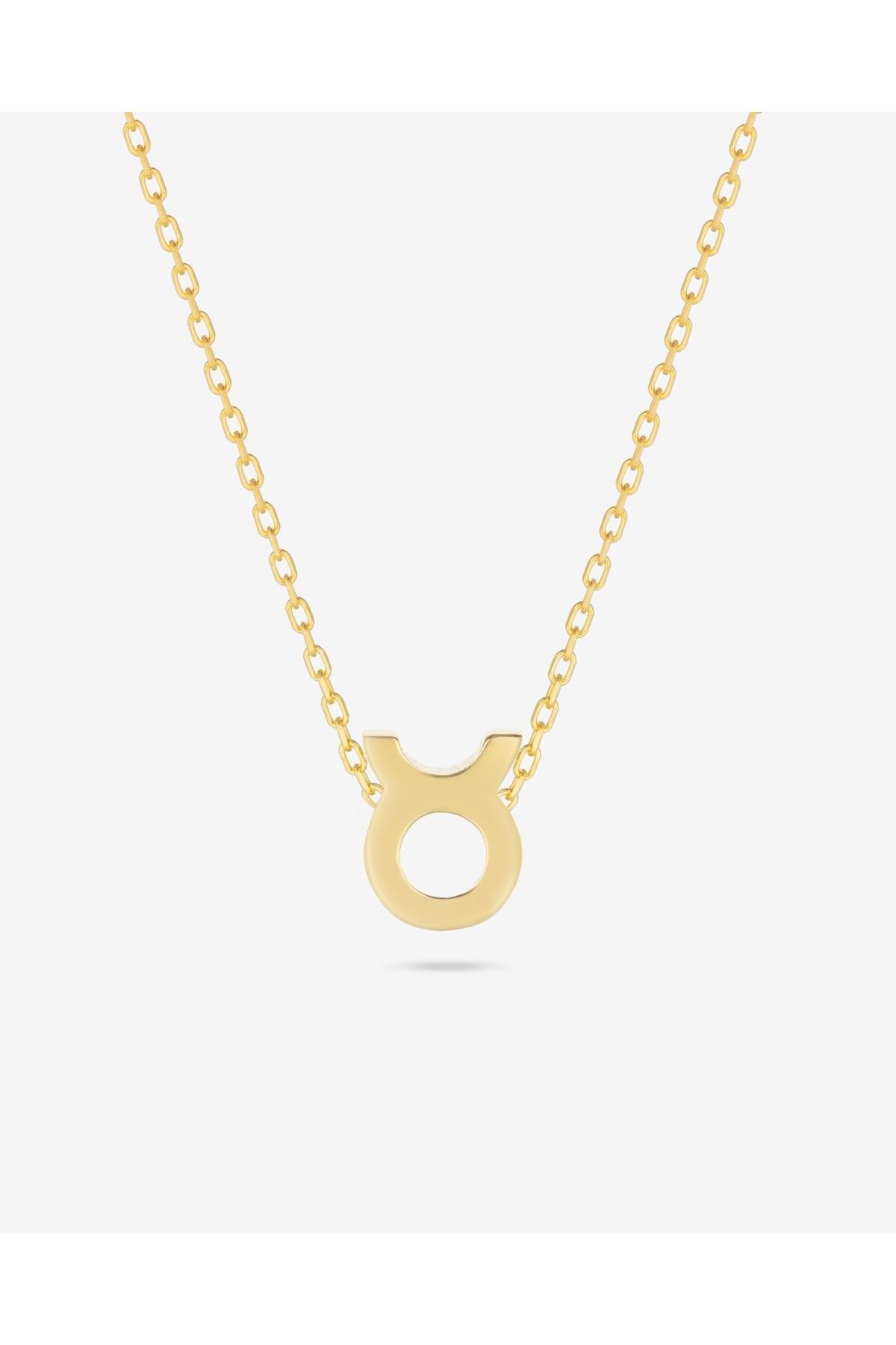 MEKS JEWELS Gümüş Boğa Burcu Kolyesi