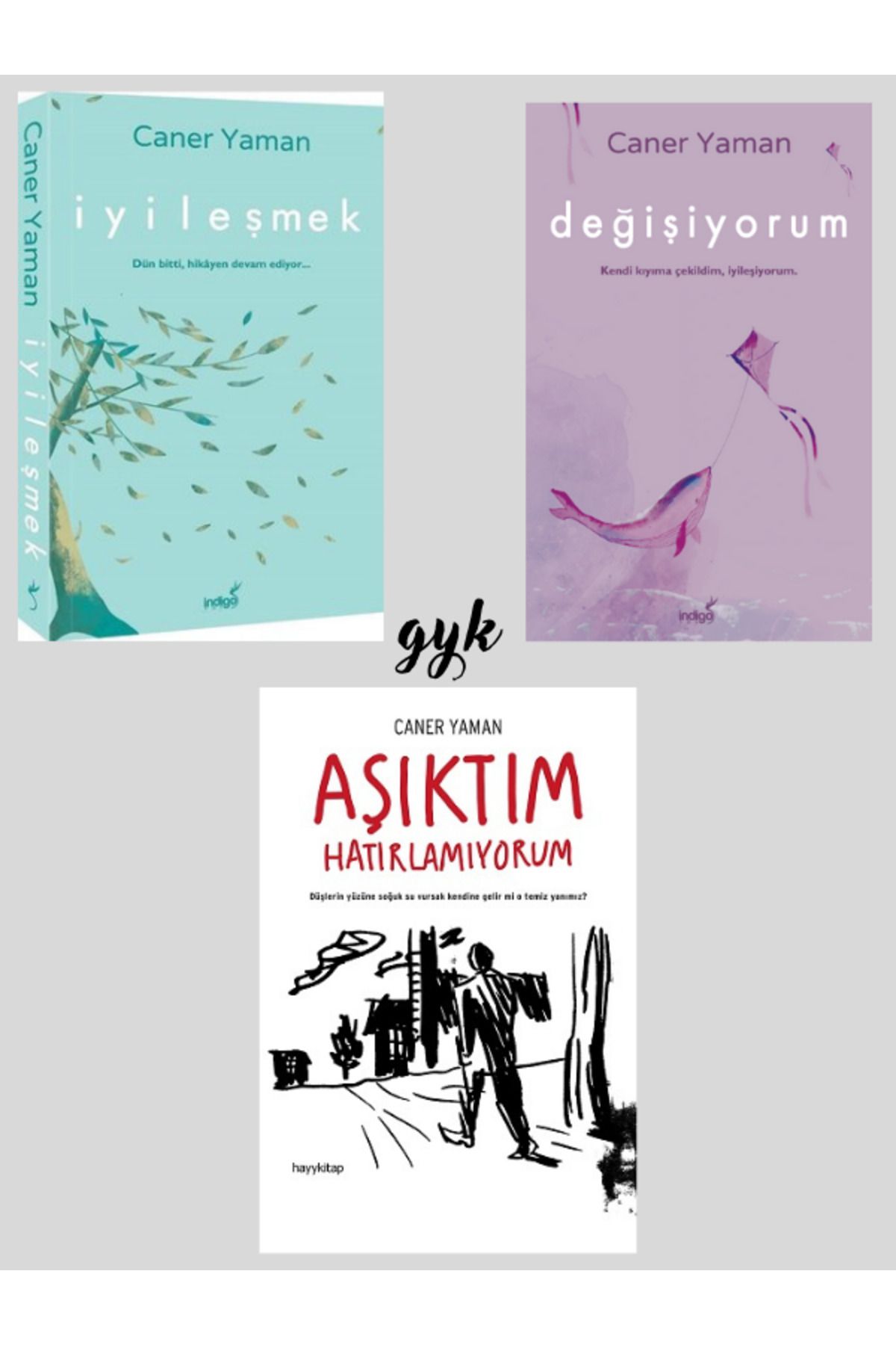 İndigo Kitap İyileşmek - Değişiyorum - Aşıktım Hatırlamıyorum 3 Kitap SET