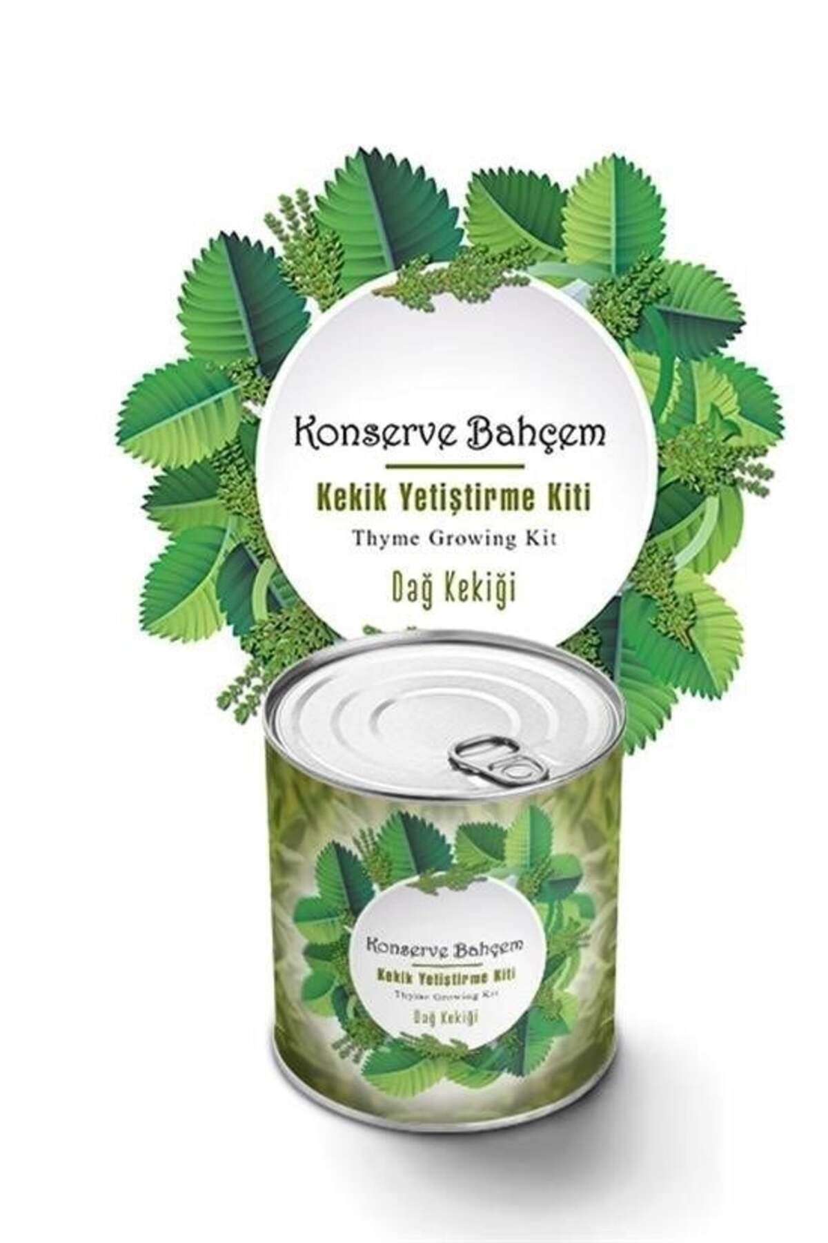 Angel Of Life Konserve Bahçem Evde Konservede Kekik Dağ Kekiği Yetiştirme Kiti