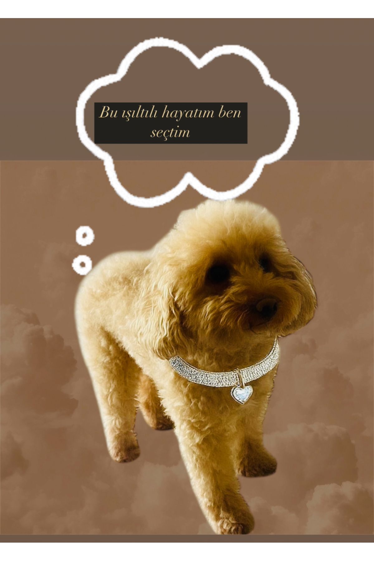 Arabasına Aşıklar Kulubü Taşlı köpek tasma kolye Aksesuarı (istediğiniz harfi lütfen mesaj olarak atın)