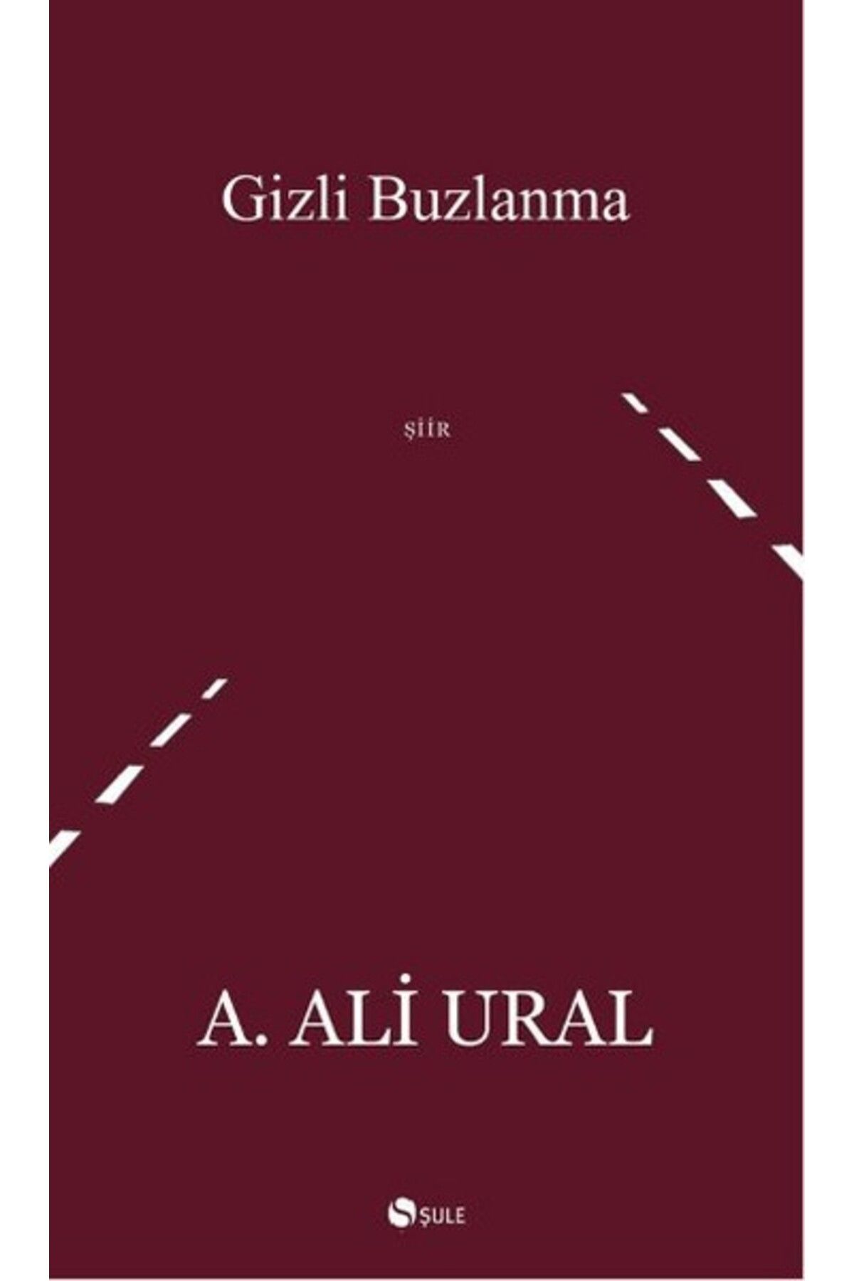 Şule Yayınları Gizli Buzlanma