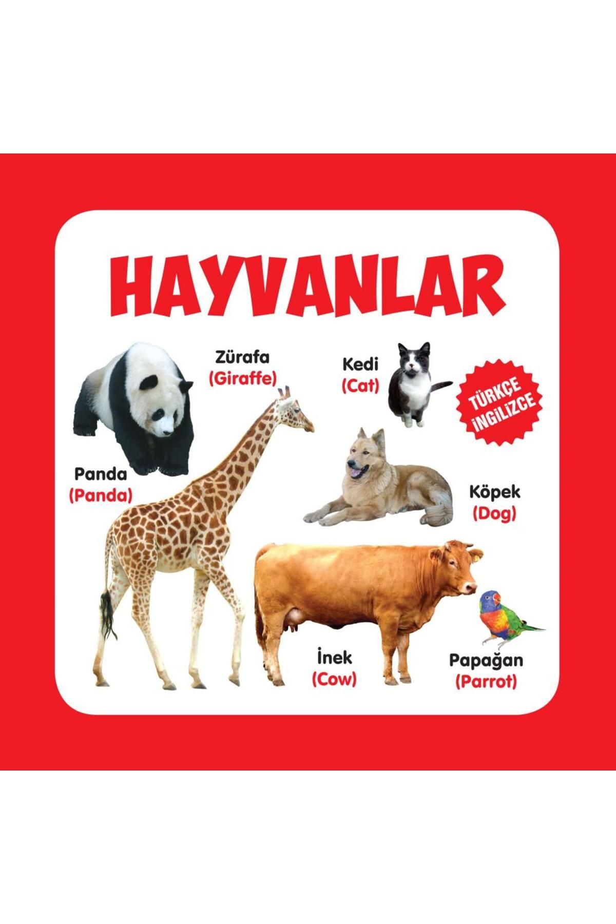 Parıltı Yayınları Hayvanlar Türkçe-İngilizce