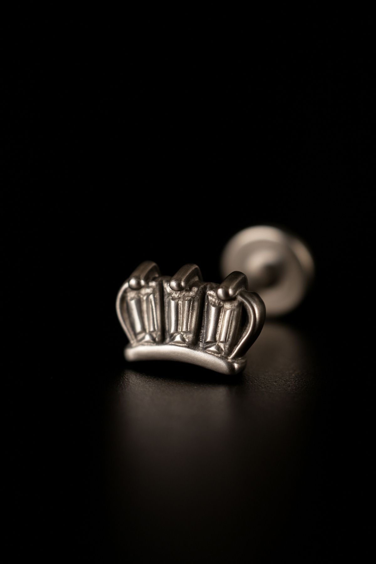 depozoom 316l Cerrahi Çelik Kıkırdak Tragus Ve Tüm Kulak Bölgesine Uygun Taç Piercing