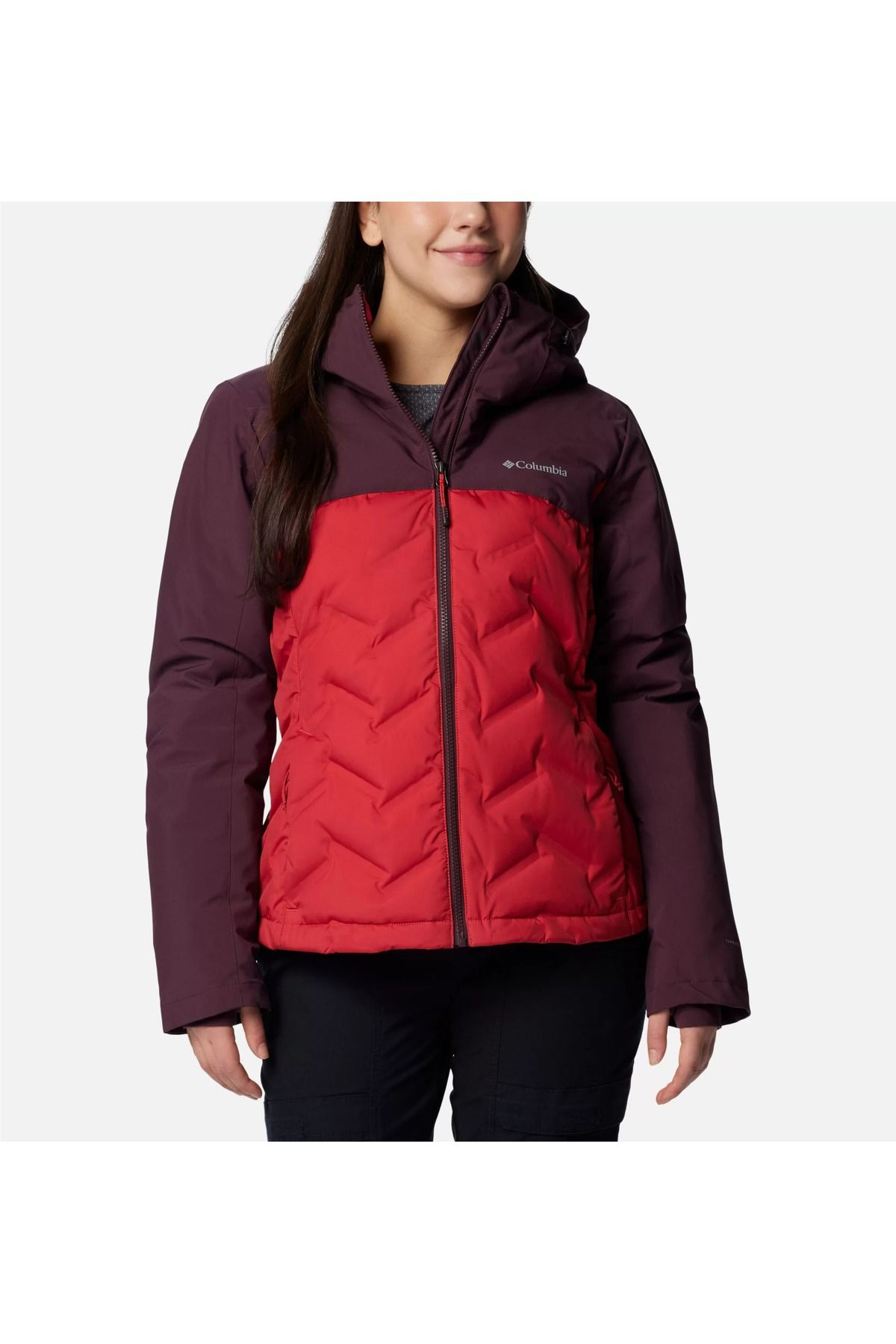 Columbia KADIN MONT 2087951-602