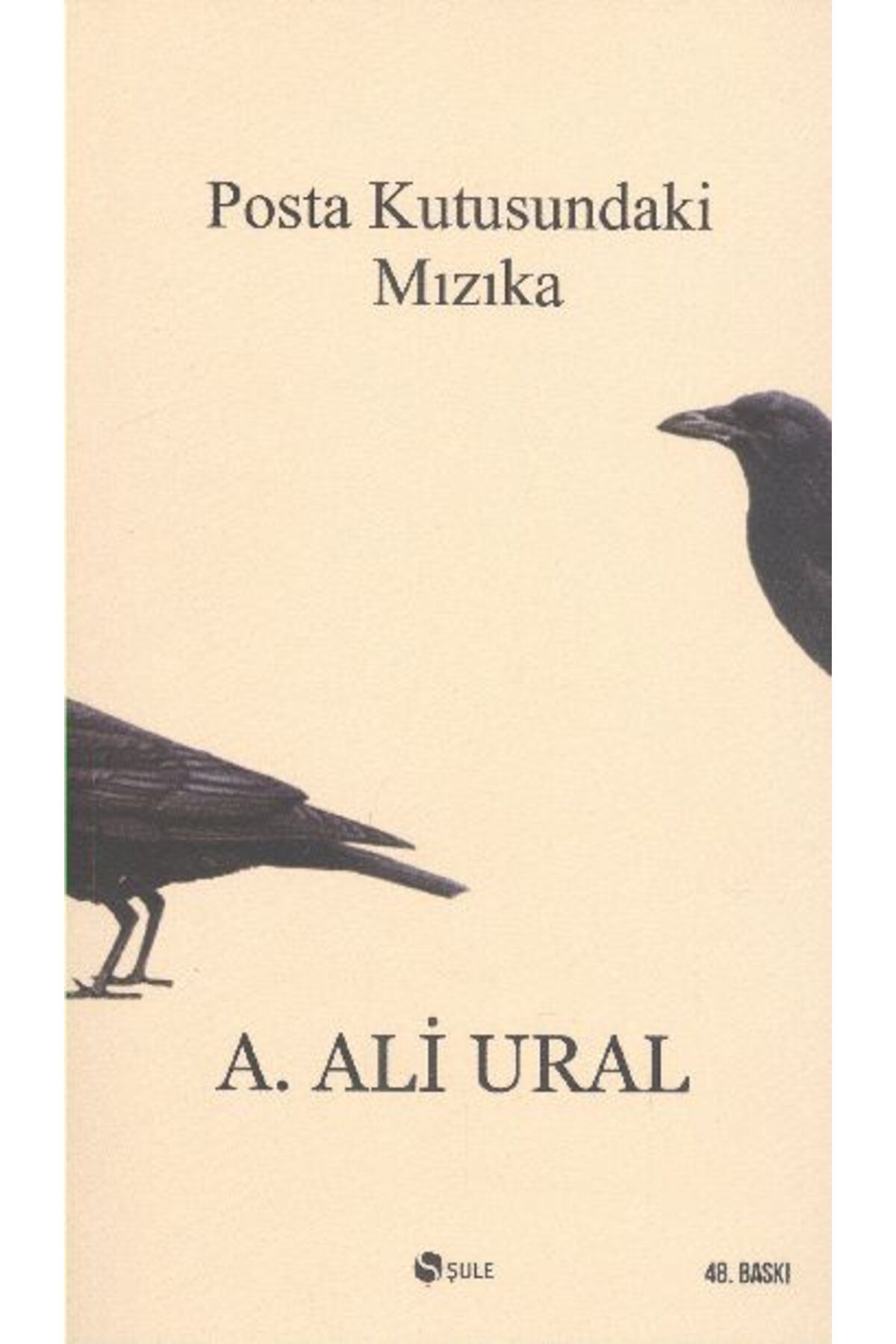 Şule Yayınları Posta Kutusundaki Mızıka
