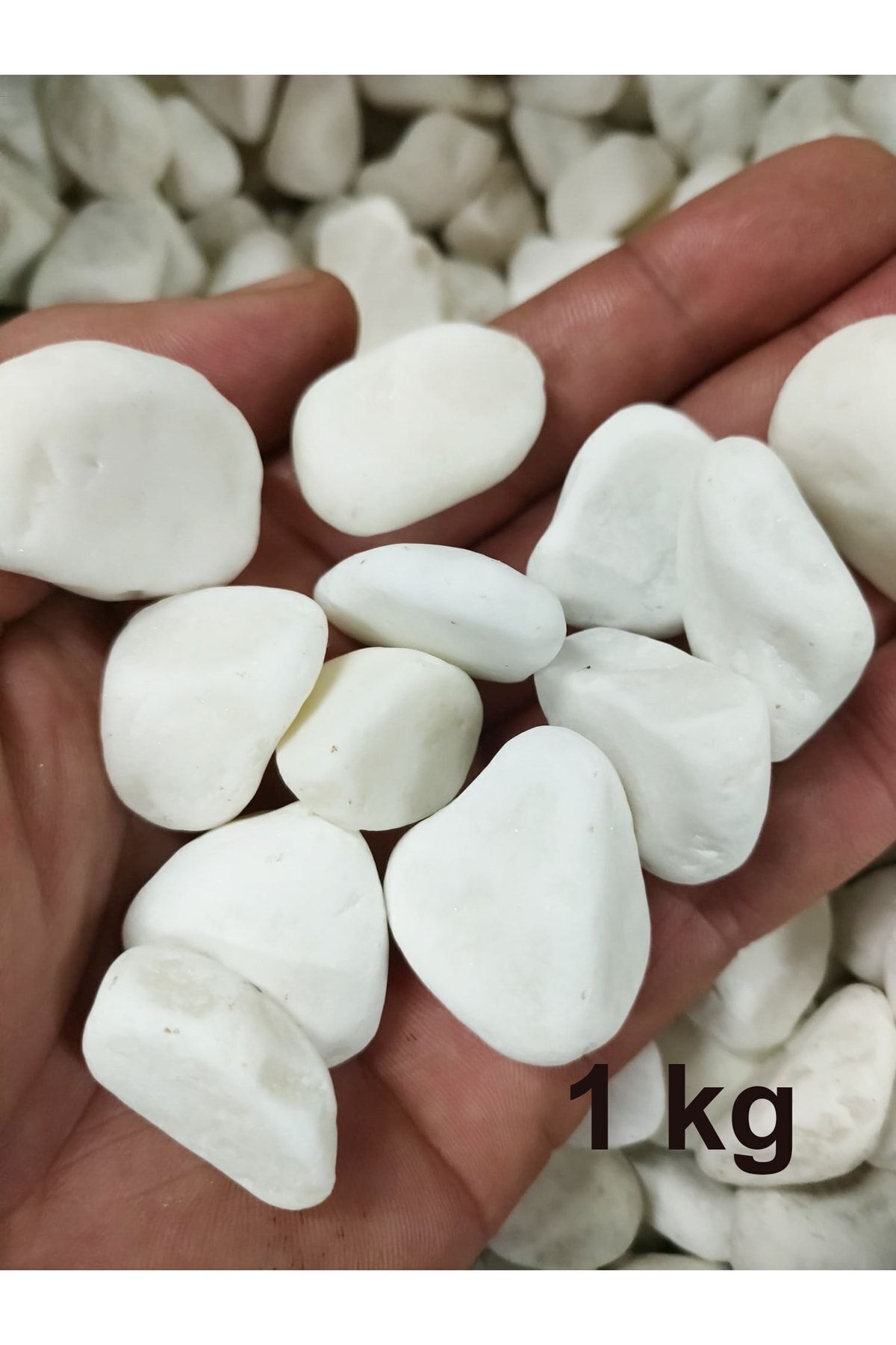 DEKORANLA Beyaz Dolomit Taş 1kg, 15-25mm, Bahçe, Saksı, Dekor, Süs Taşı