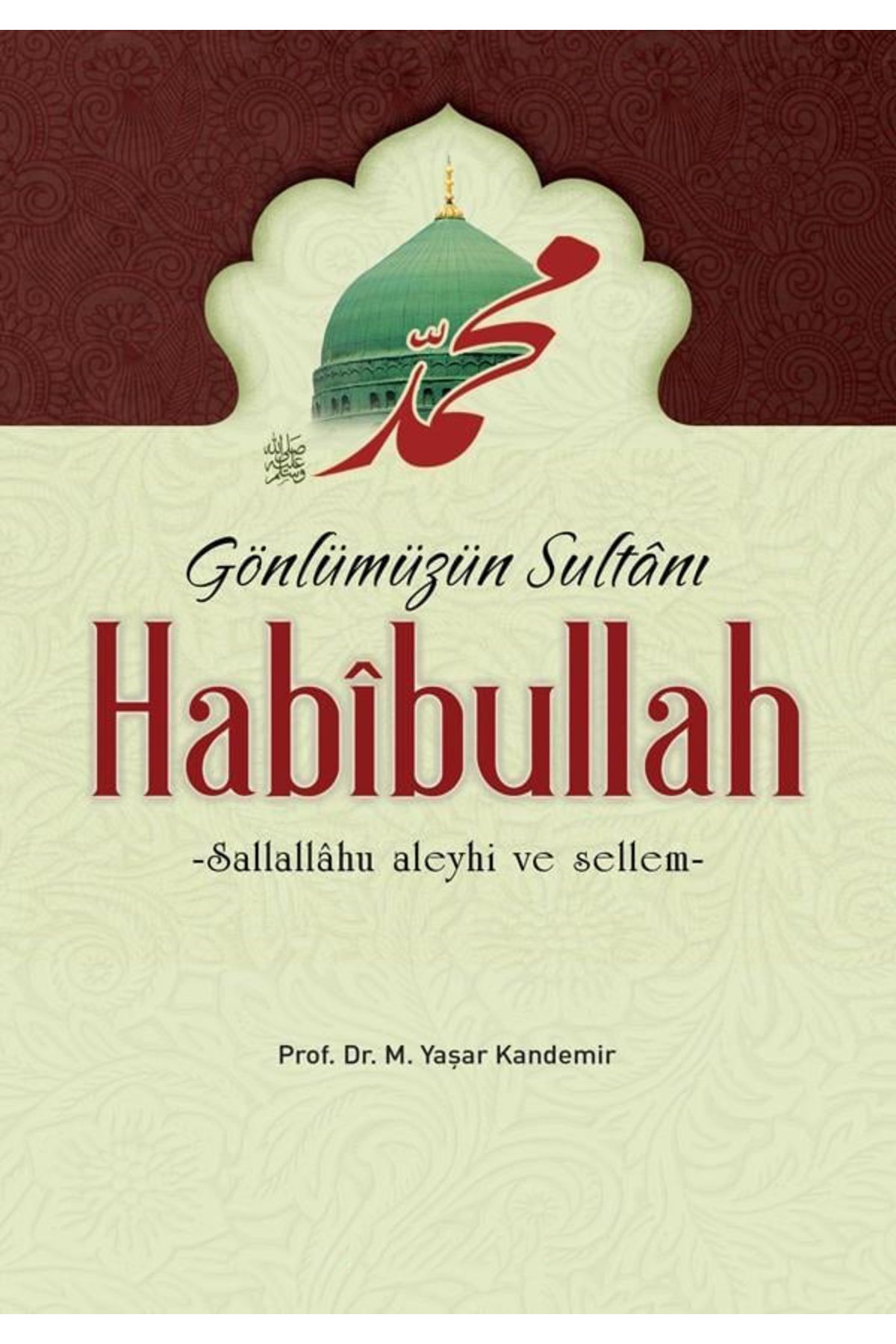 Erkam Yayınları Gönlümüzün Sultanı Habibullah - Prof. Dr. M. Yaşar Kandemir