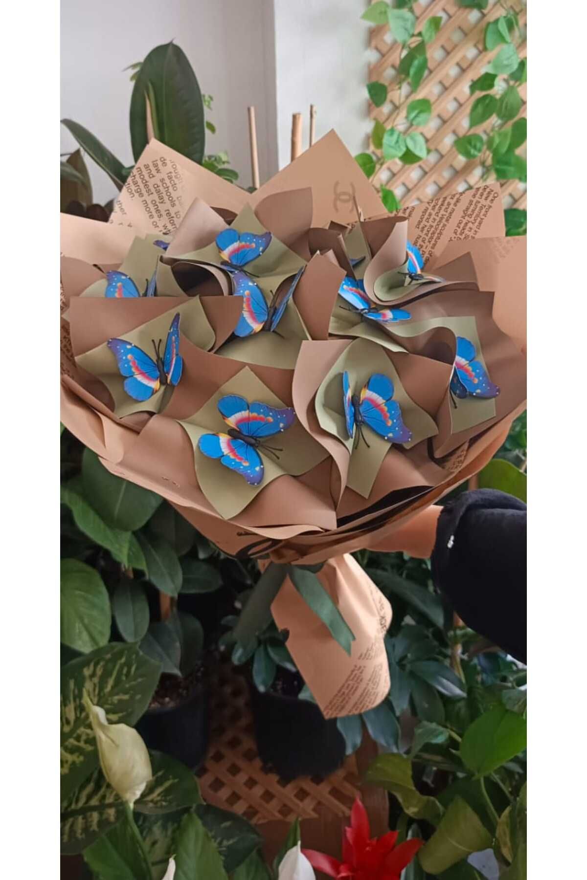 Buket Kelebek Buketi