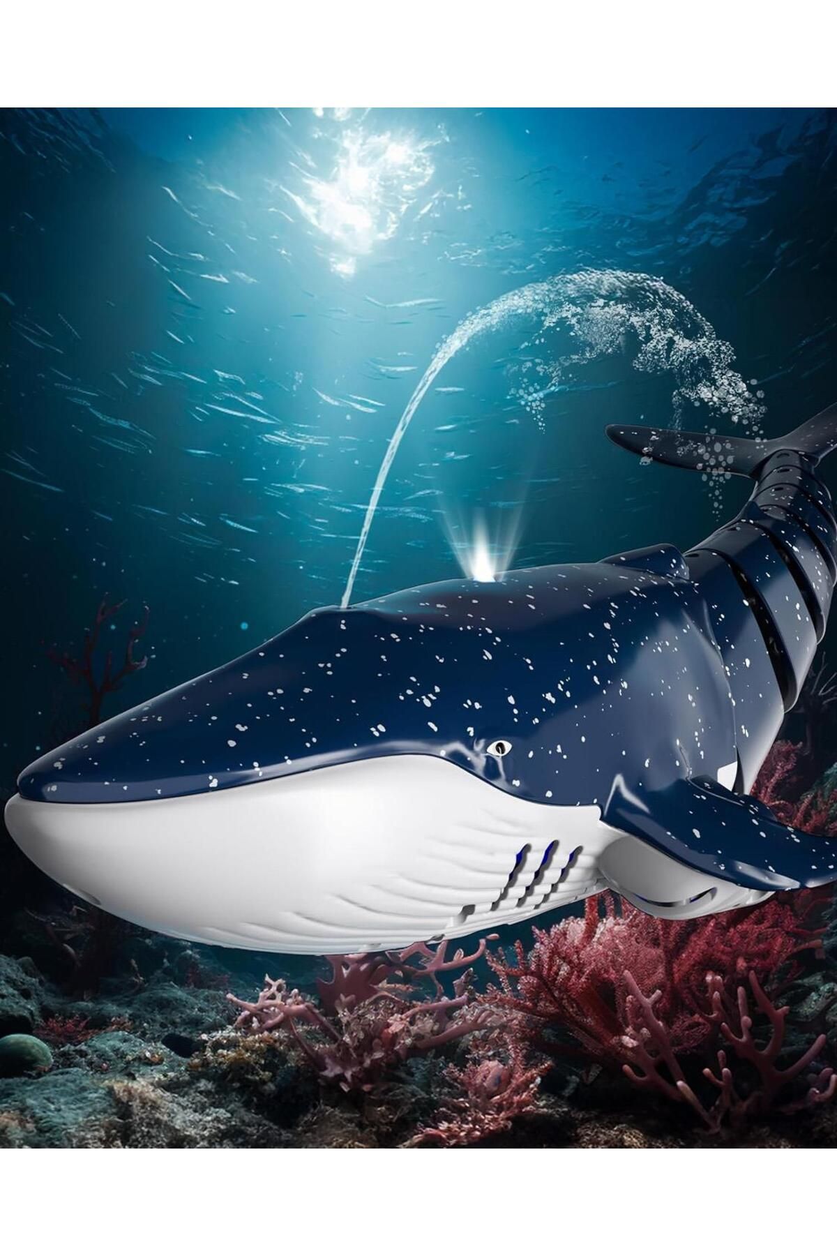 lets be child-Lc Remote Control Whale 5