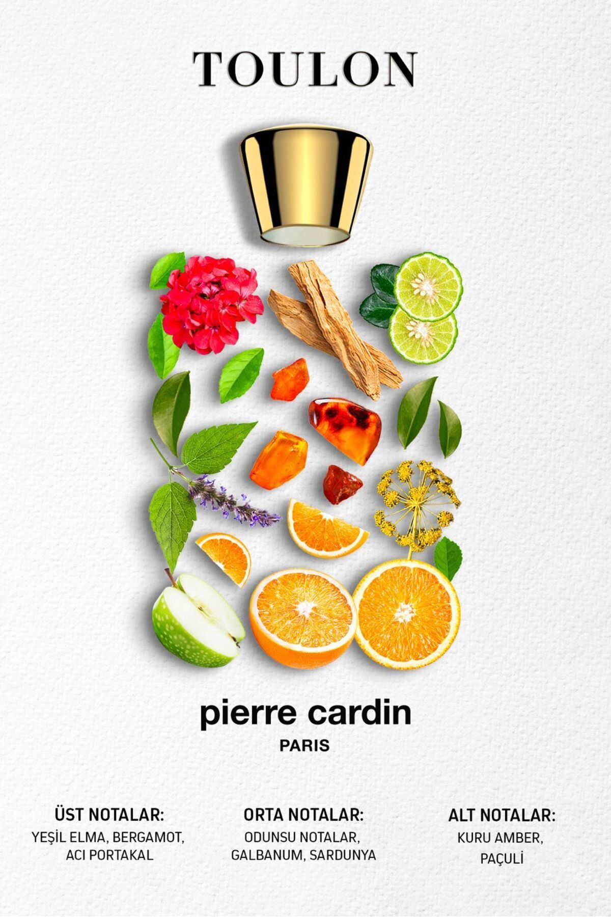 عطر مردانه | پیر کاردین Pierre Cardin STCC021289 - تصویر 3