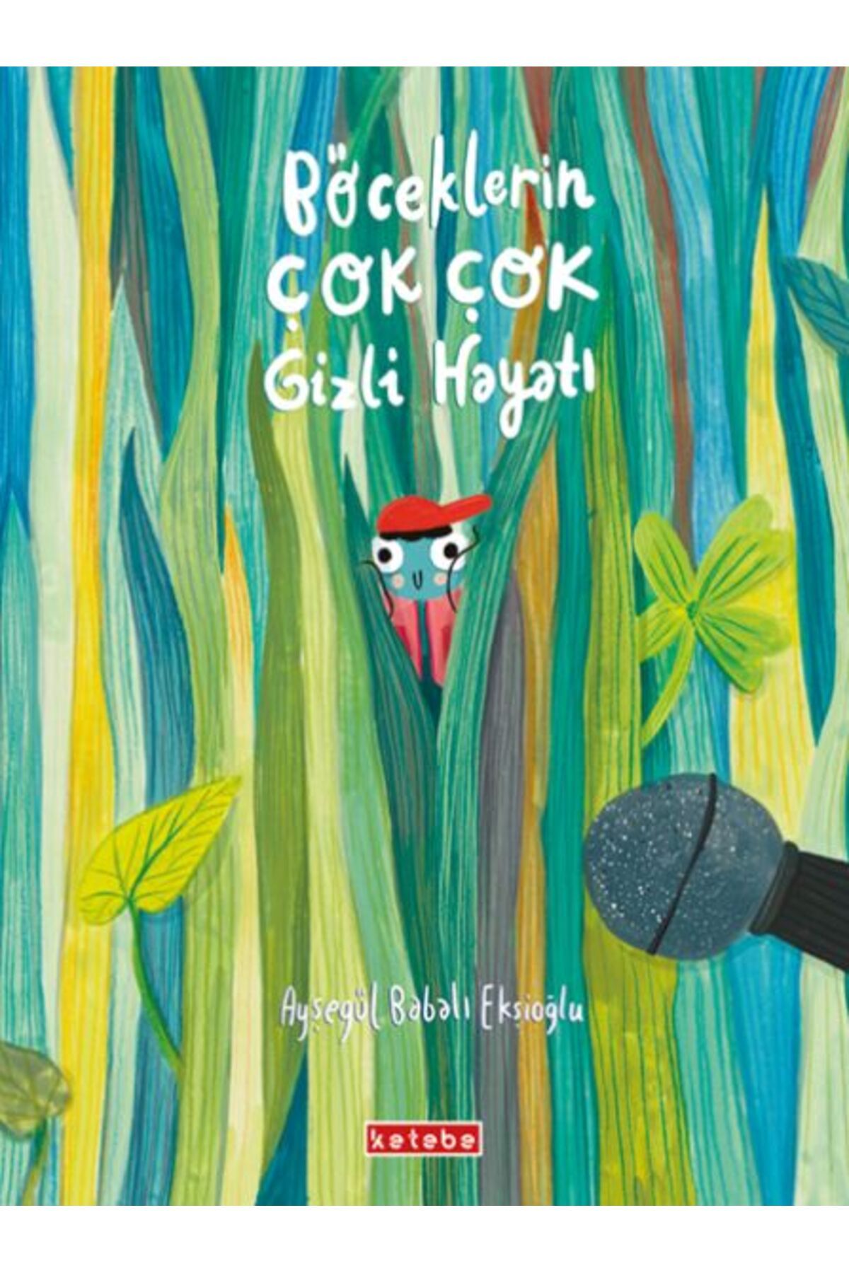 Ketebe Yayınları Böceklerin Çok Çok Gizli Hayatı