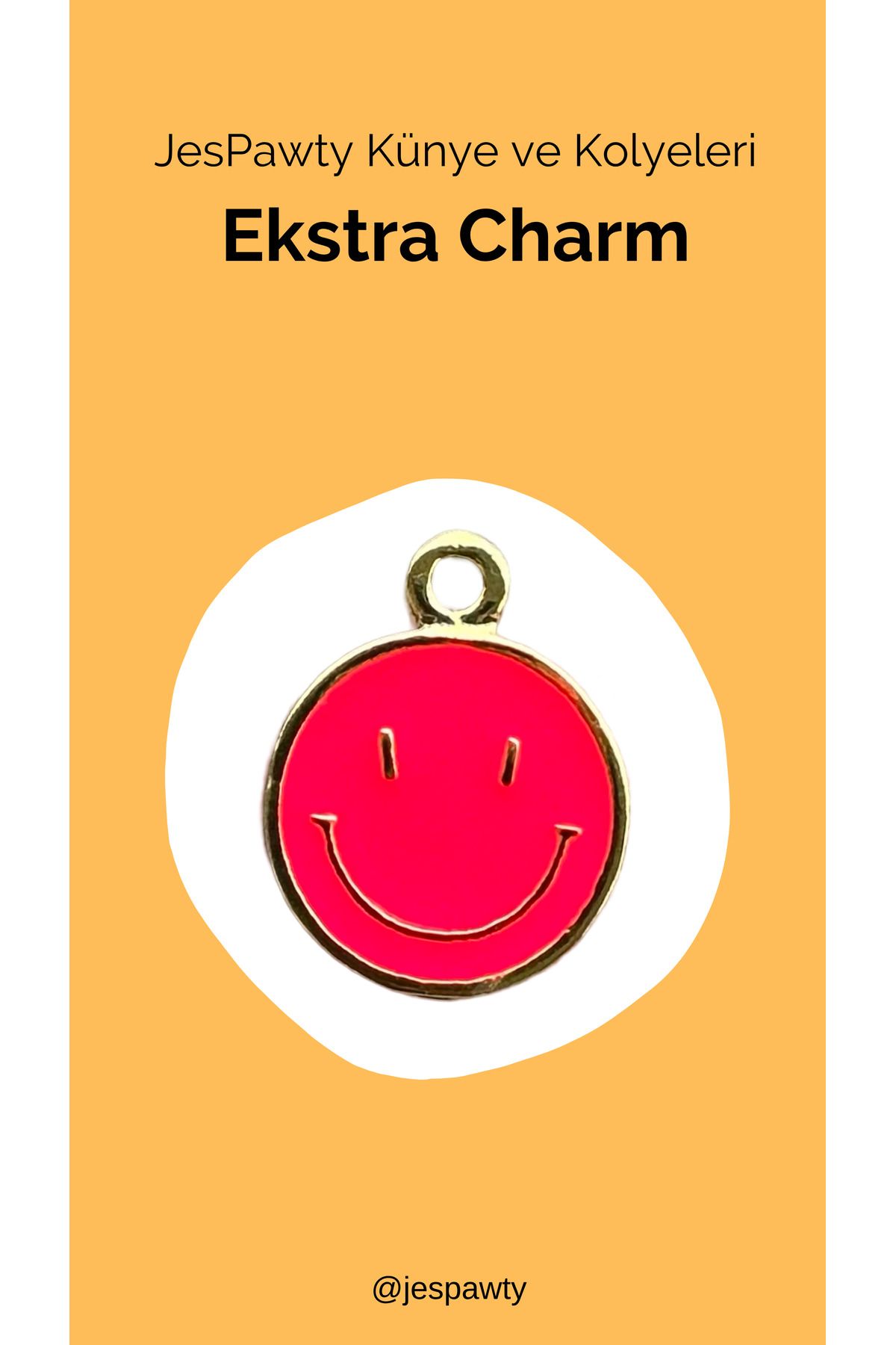 JesPawty Kolye ve Künye İle Uyumlu Charm Gümüş Altın Kaplama