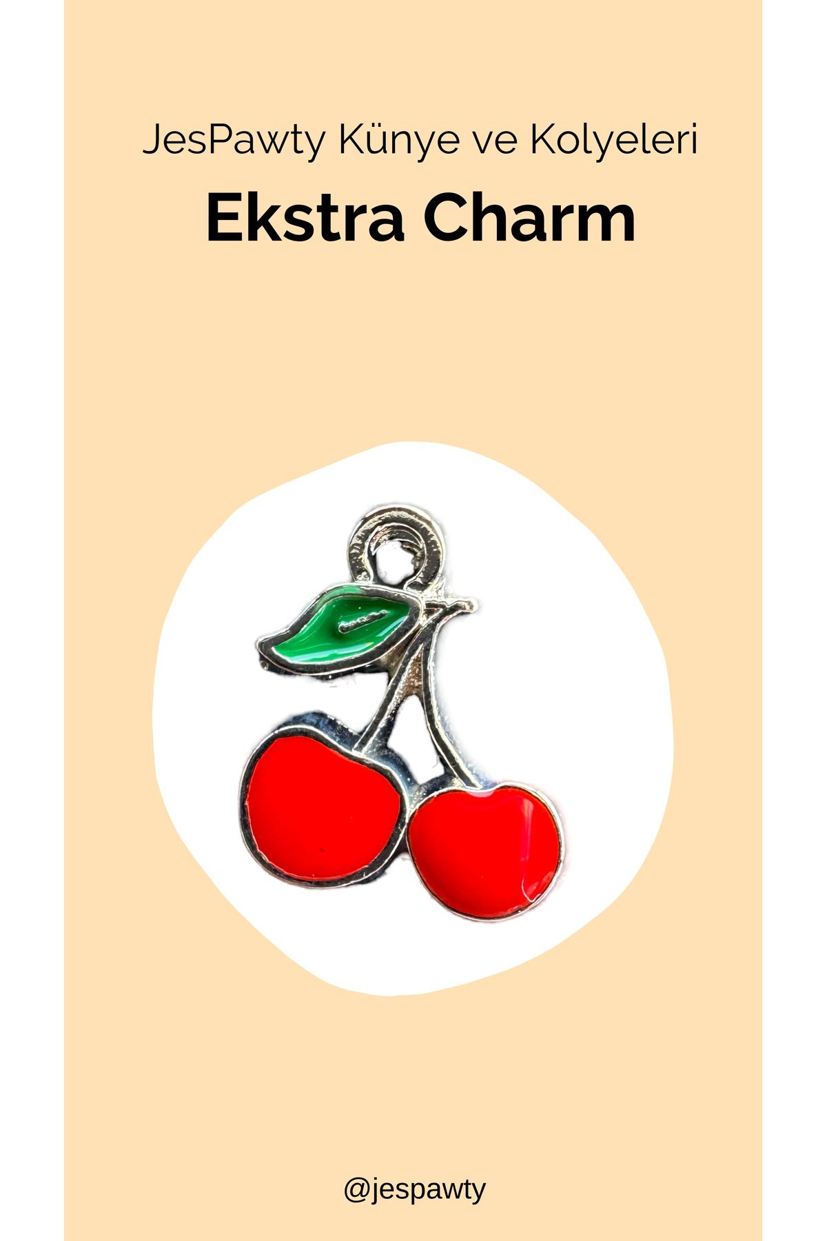JesPawty Kolye ve Künye İle Uyumlu Charm Gümüş Renk Kaplama