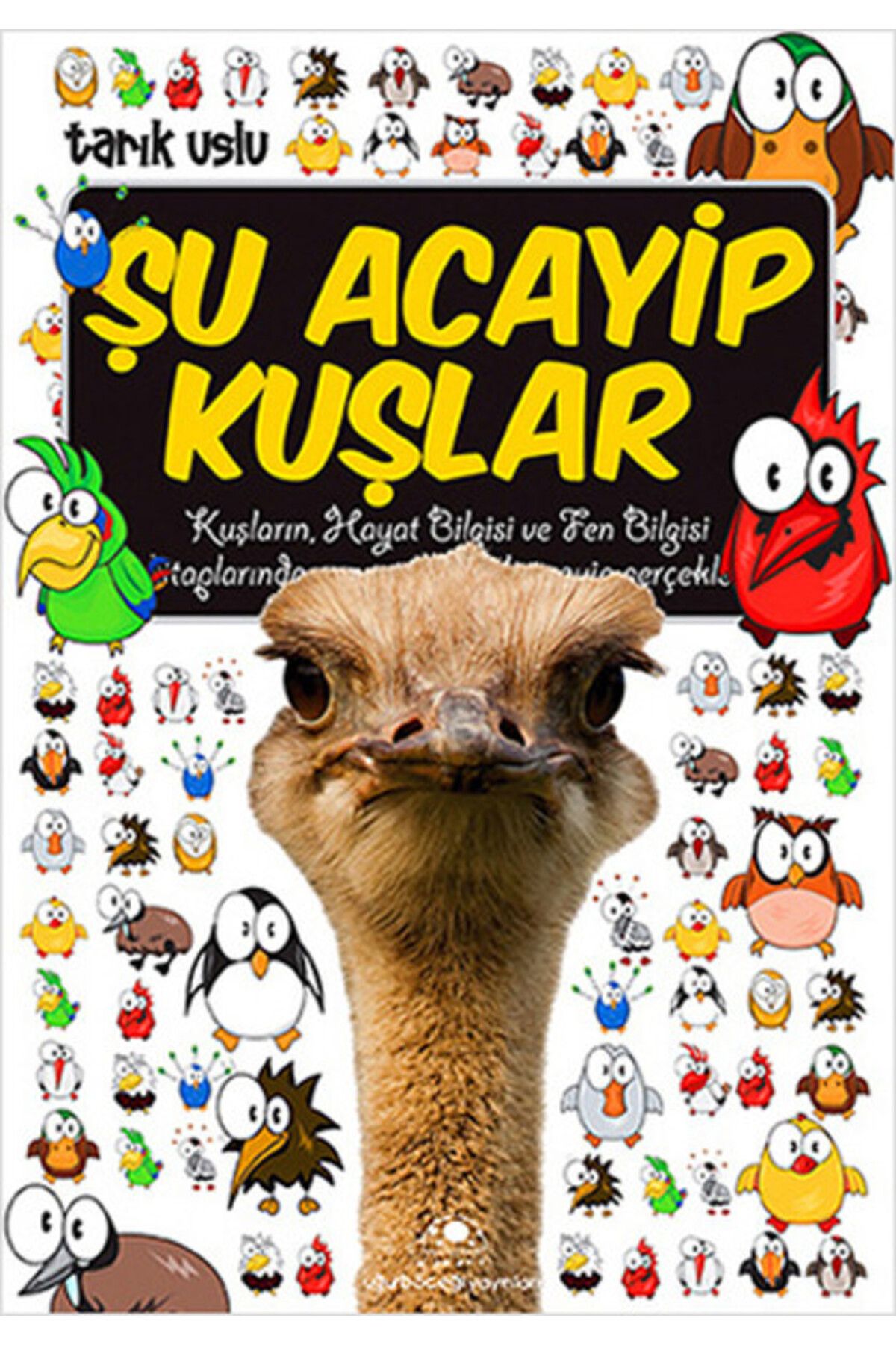 Uğurböceği Yayınları Şu Acayip Kuşlar