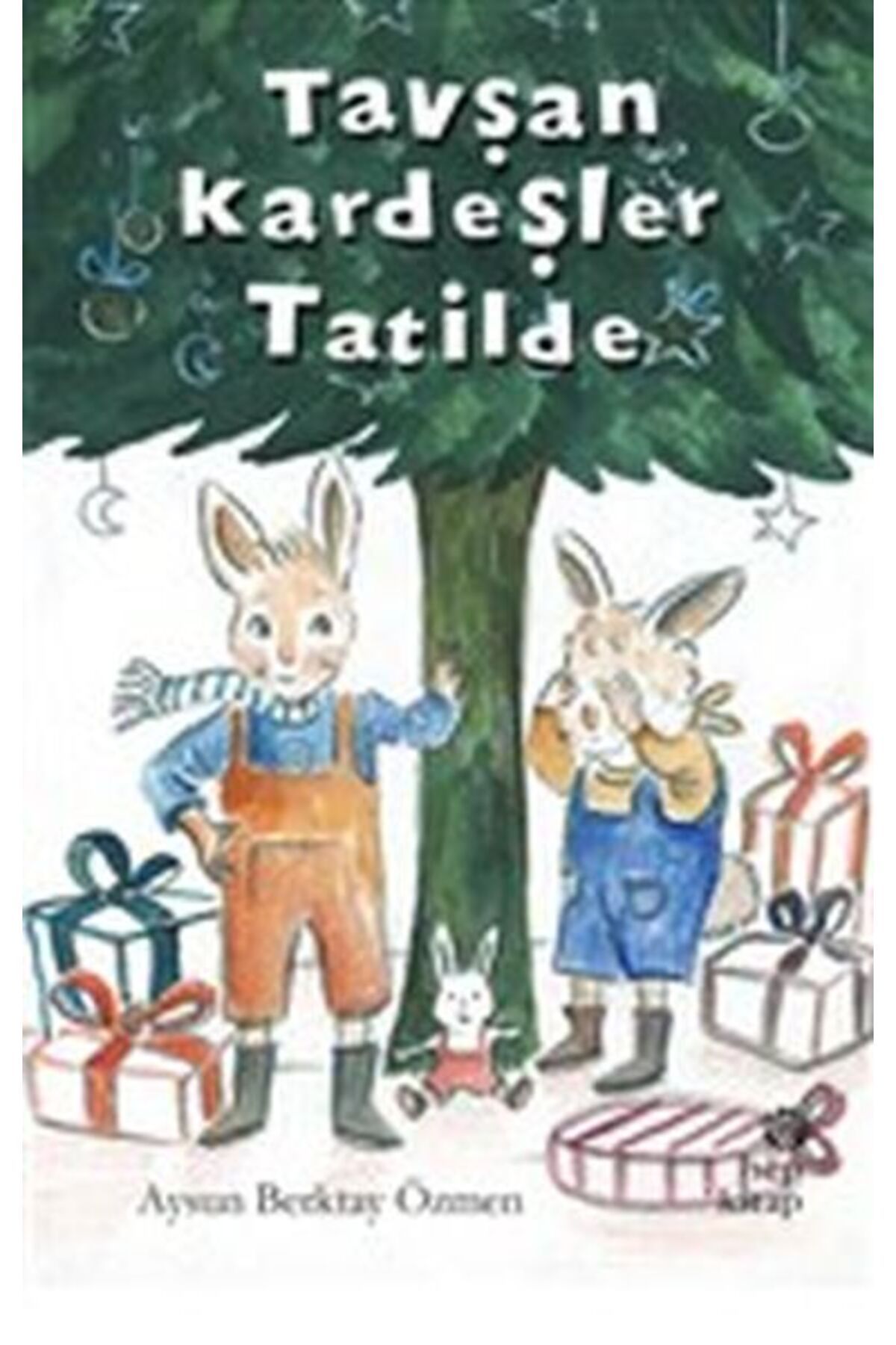 Hep Kitap Tavşan Kardeşler Tatilde