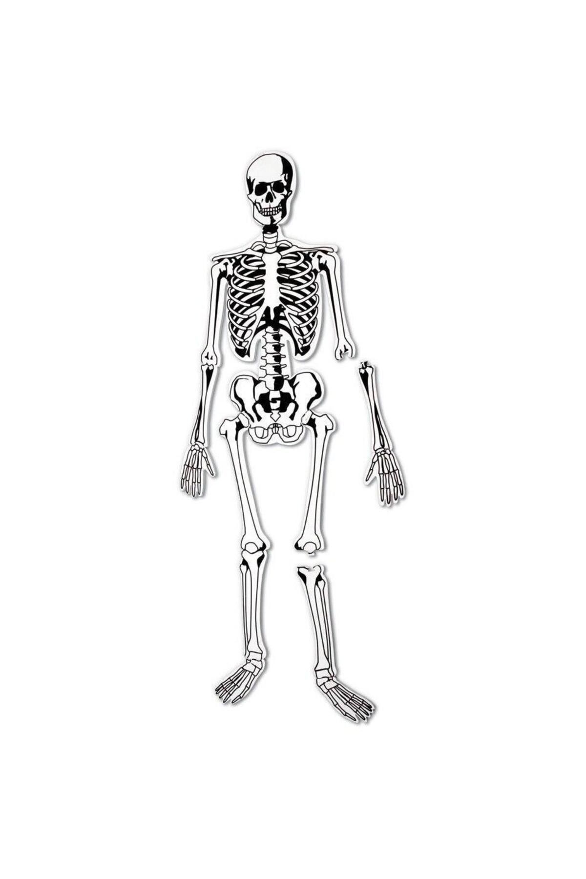 Learning Resources-Floor puzzle - skeleton 5