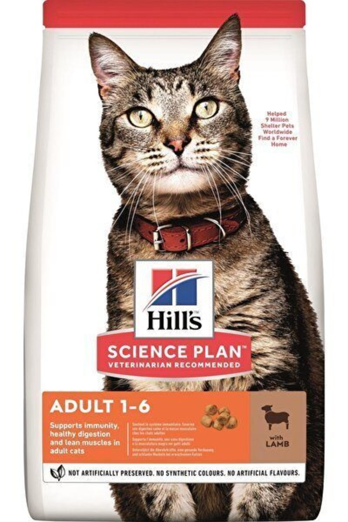 merland benvecocuk Yetişkin Kuzu Etli Kedi Maması 1,5 Kg