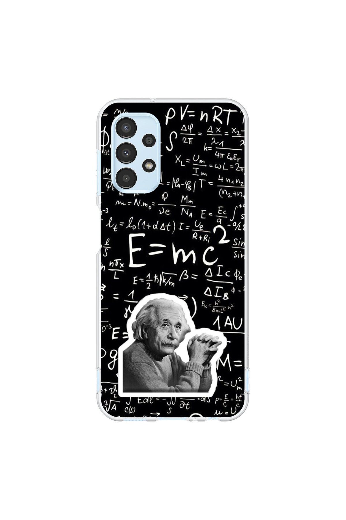 Dali Design Samsung Galaxy A13 Uyumlu Şeffaf Kılıf Einstein Tasarımlı