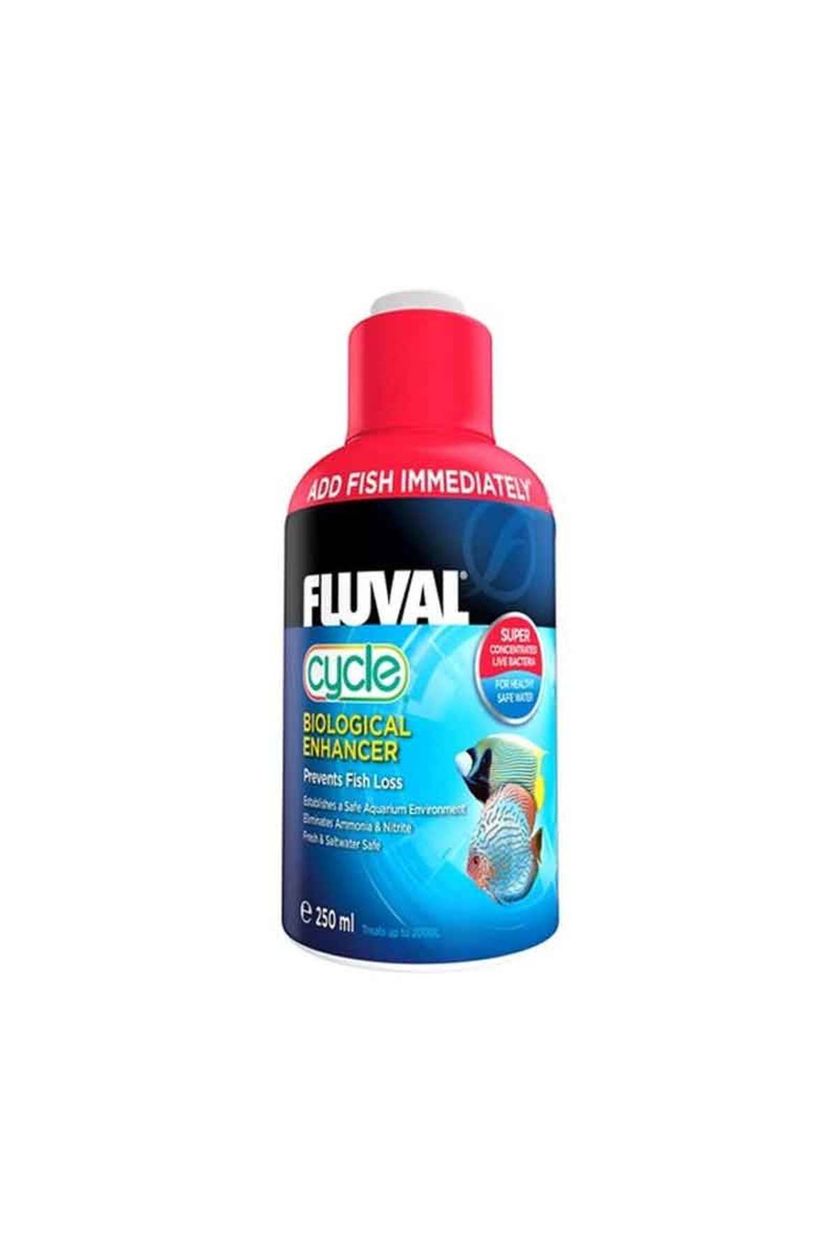 Fluval Cycle Bakteri Kültürü 250 ML
