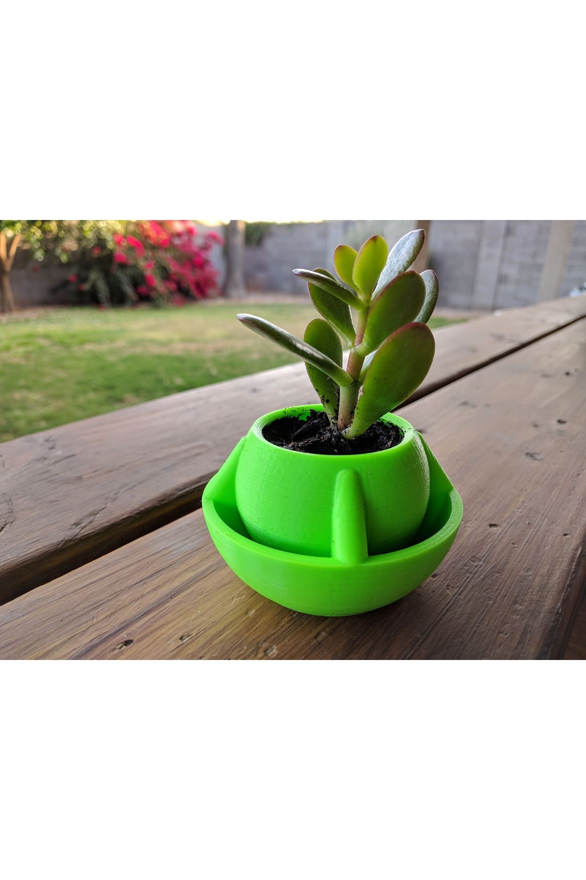 Vision Craft Globe Desk Ekici saksı
