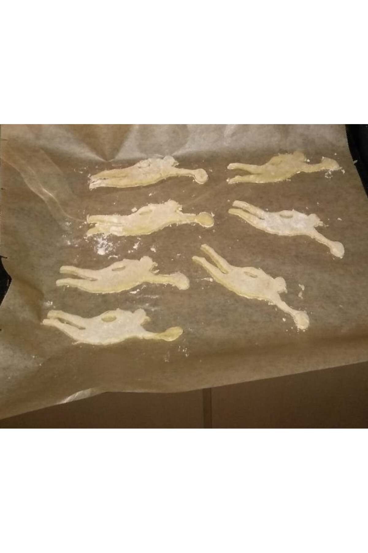 Lucest Ultimate Frizbi Düzeni Çerez Kesici (Plastik Aparattır!!!)