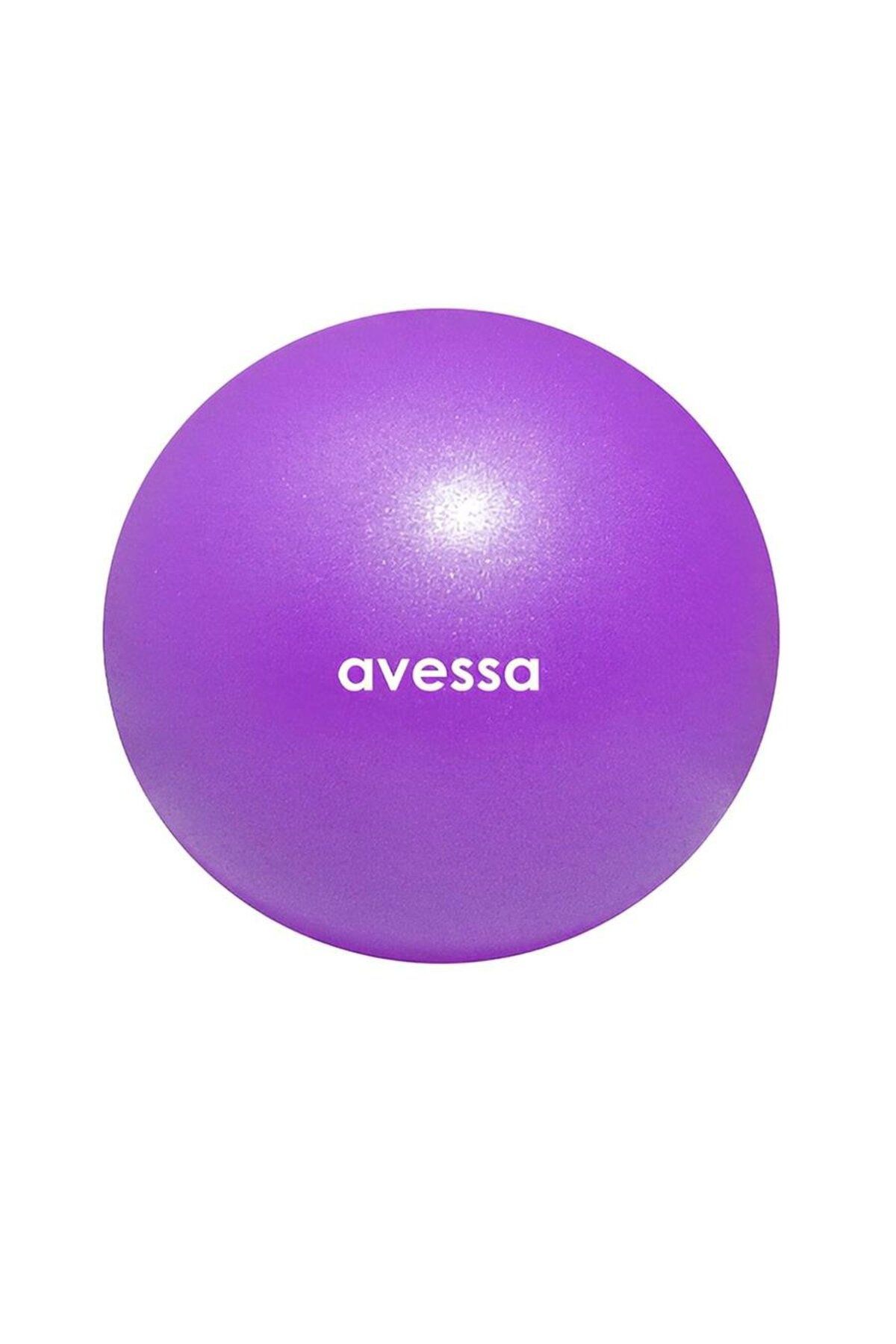 alsepeteavm AVESSA BPT-25 PURPLE 25 CM PLATES TOPU POŞET AMBALAJ MOR