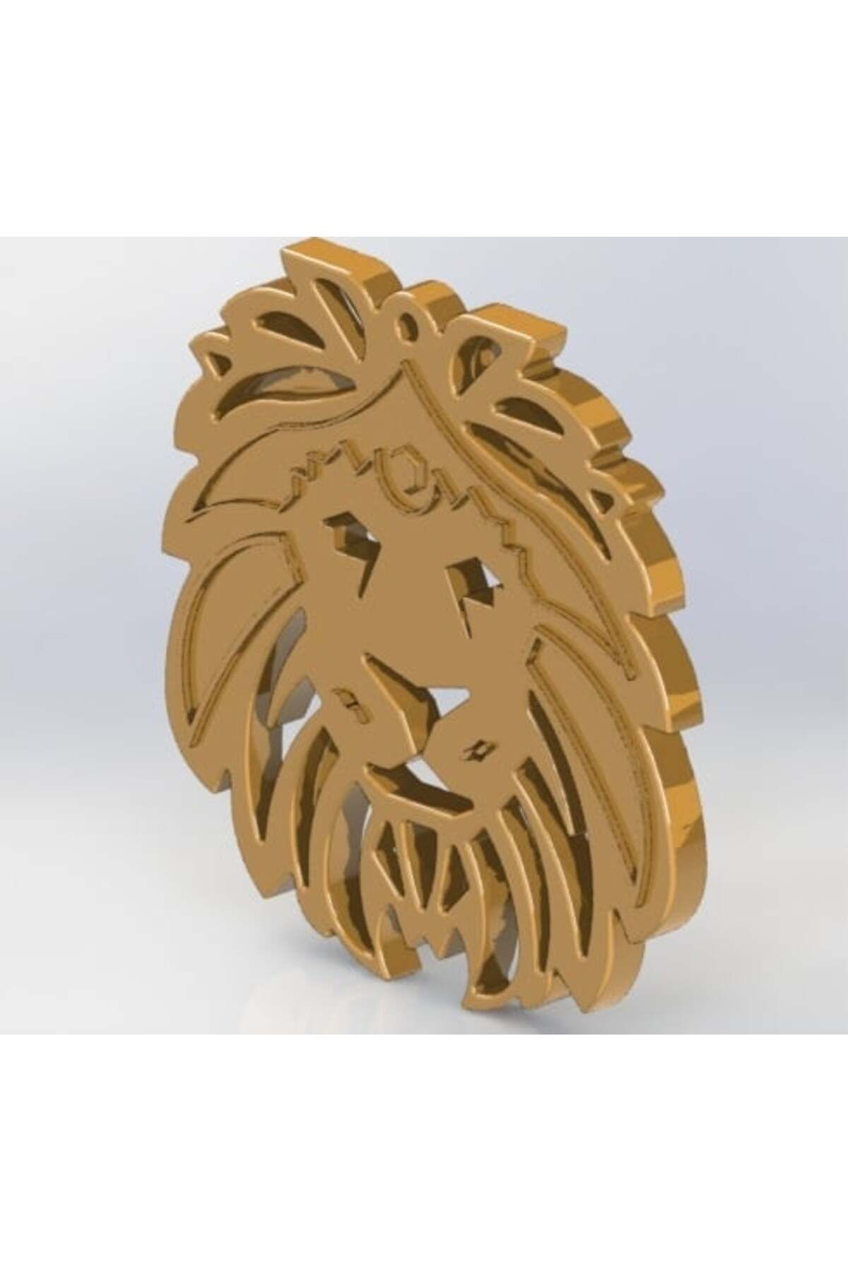 Vision Craft Aslan Anahtarı (4 Adet)