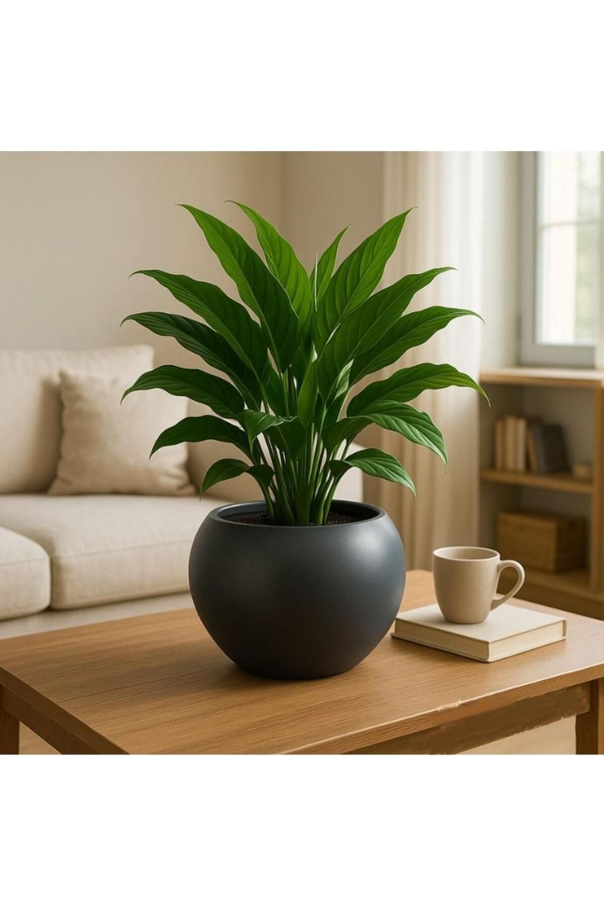 Omnipazar SO-KURS1 Dekoratif Modern Yuvarlak Küre Saksı 7.5 litre No 1